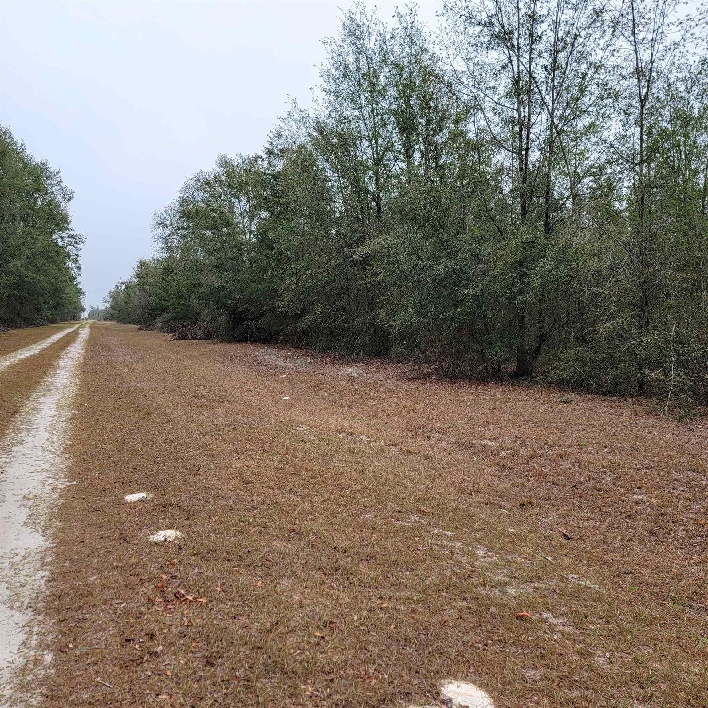 SE Parliament Trail, Lee, Florida image 4