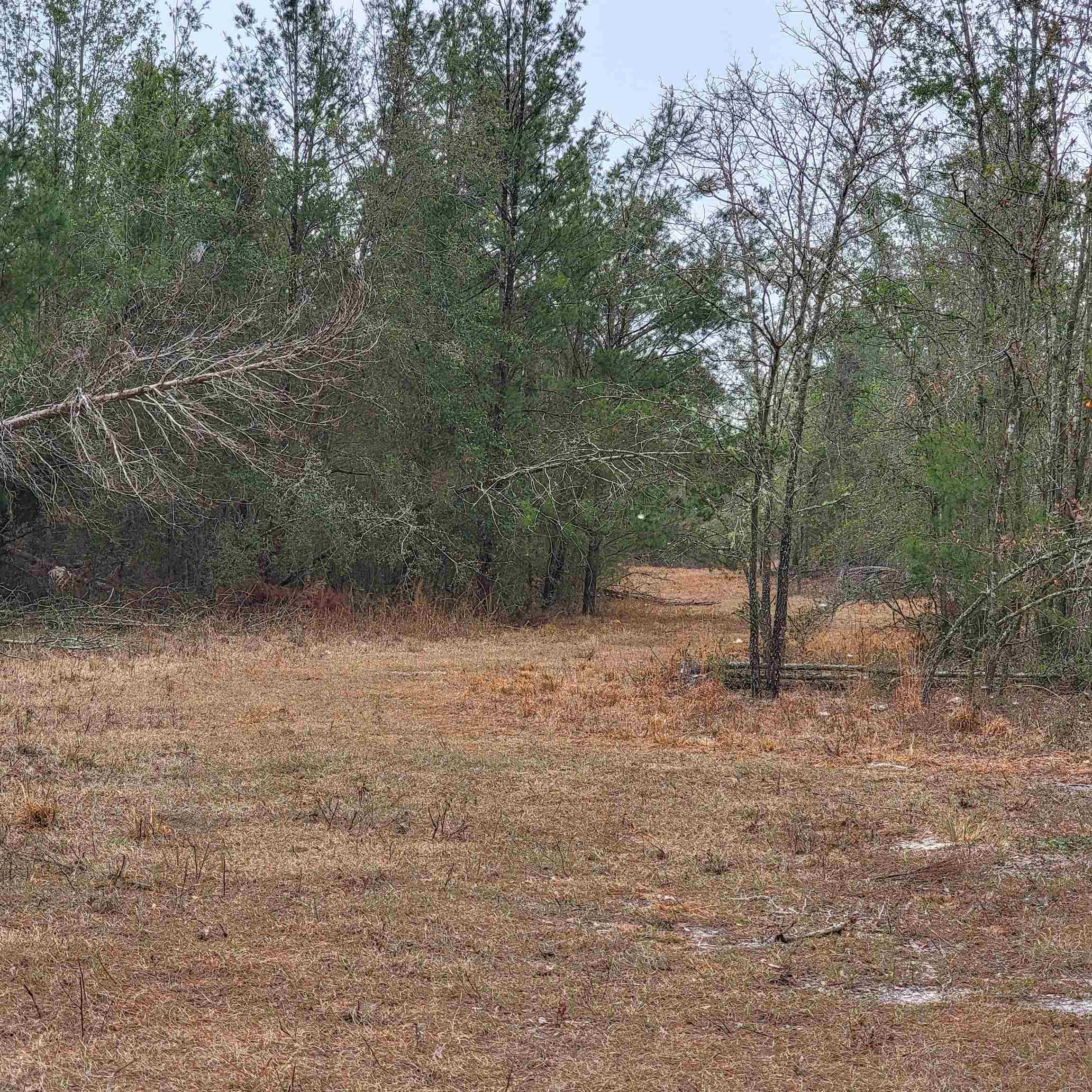 SE Parliament Trail, Lee, Florida image 7