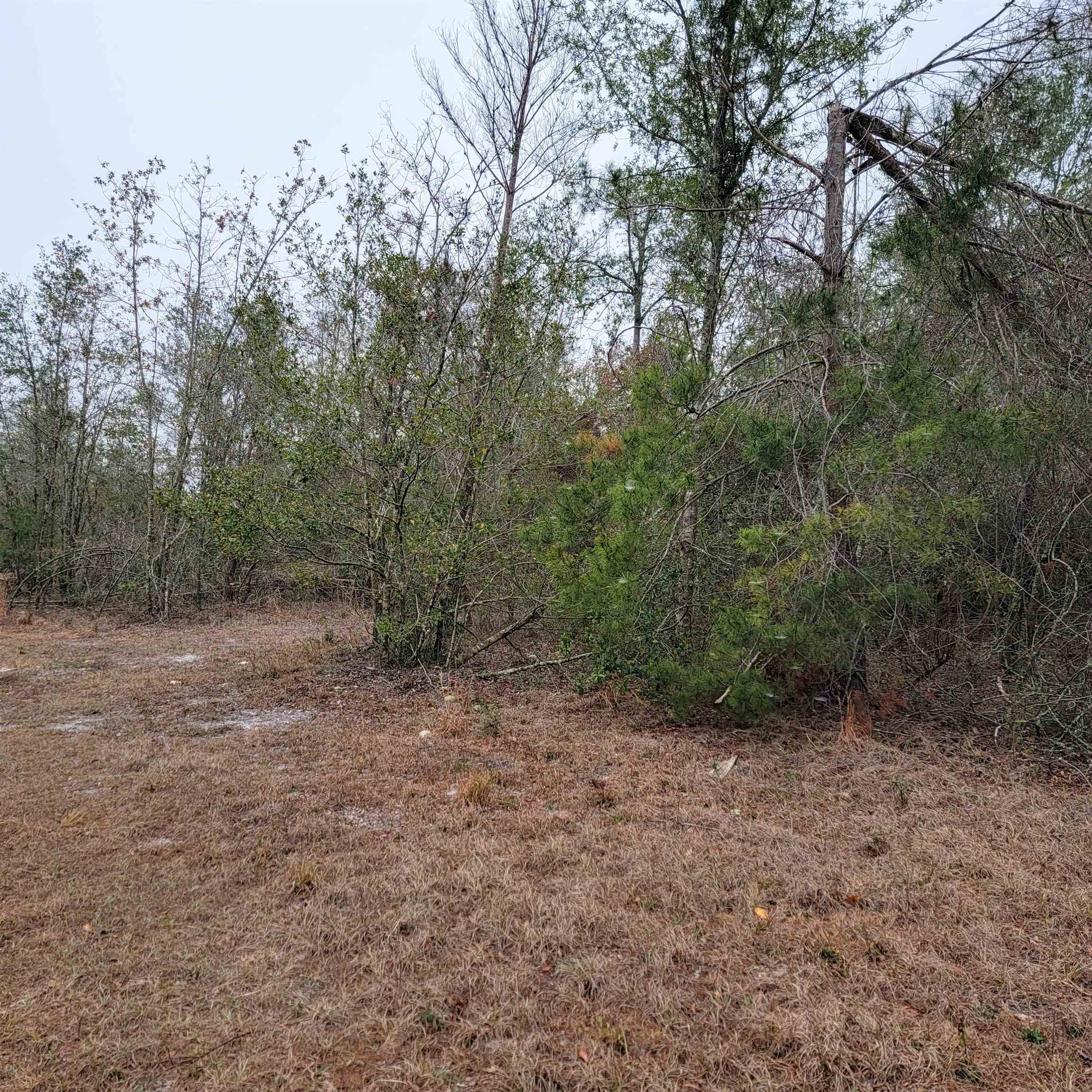 SE Parliament Trail, Lee, Texas image 8