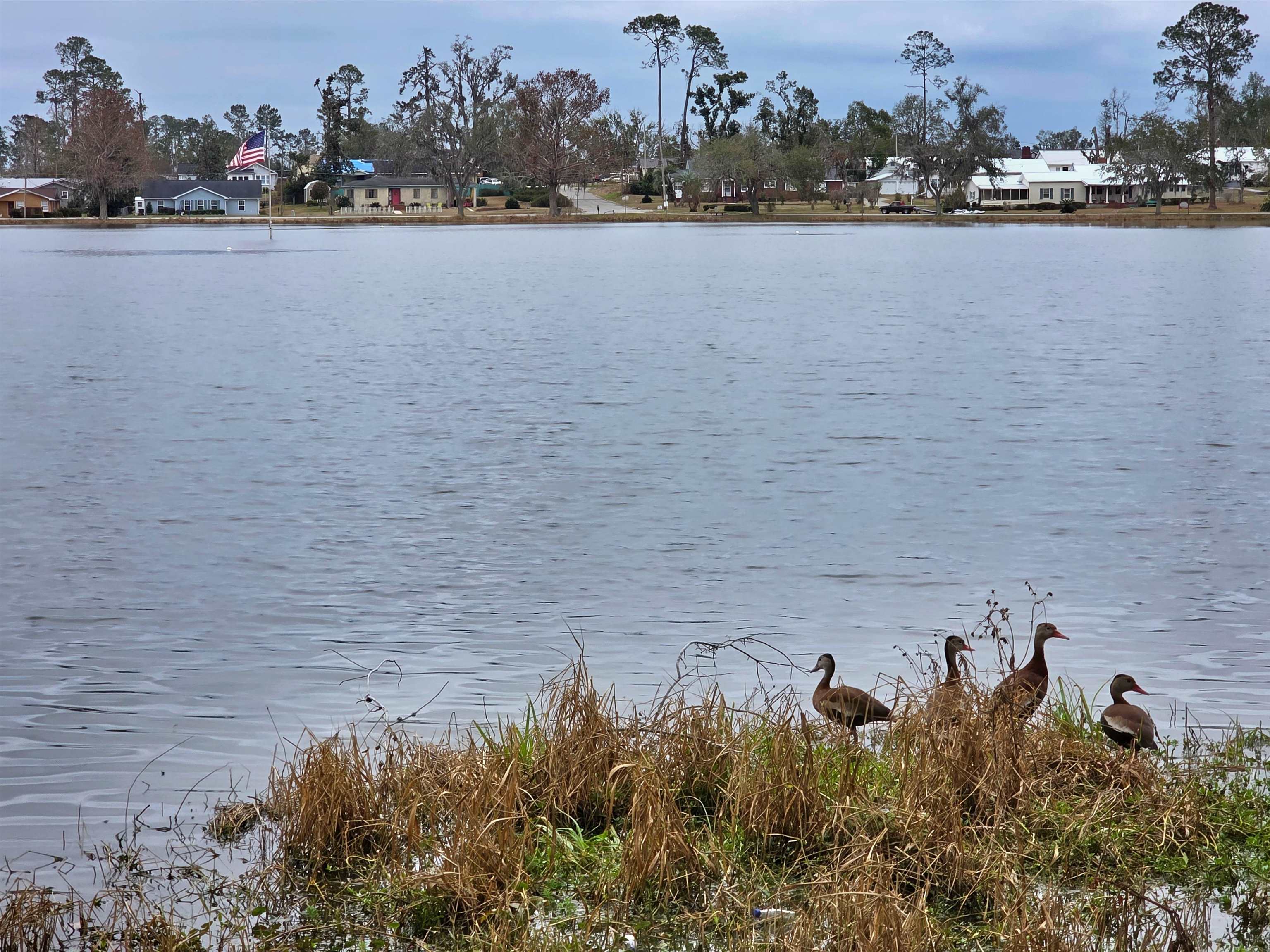 715 SE Lakeshore Drive, Madison, Florida image 6