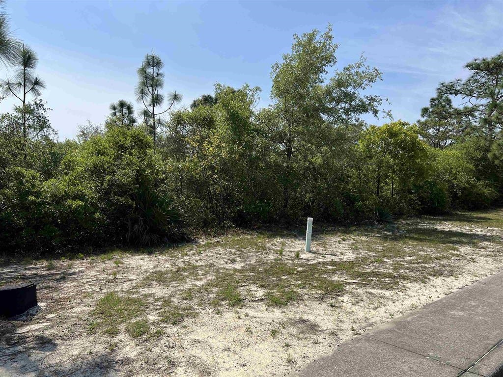 146 Anhinga Trail, Carrabelle, Florida image 1