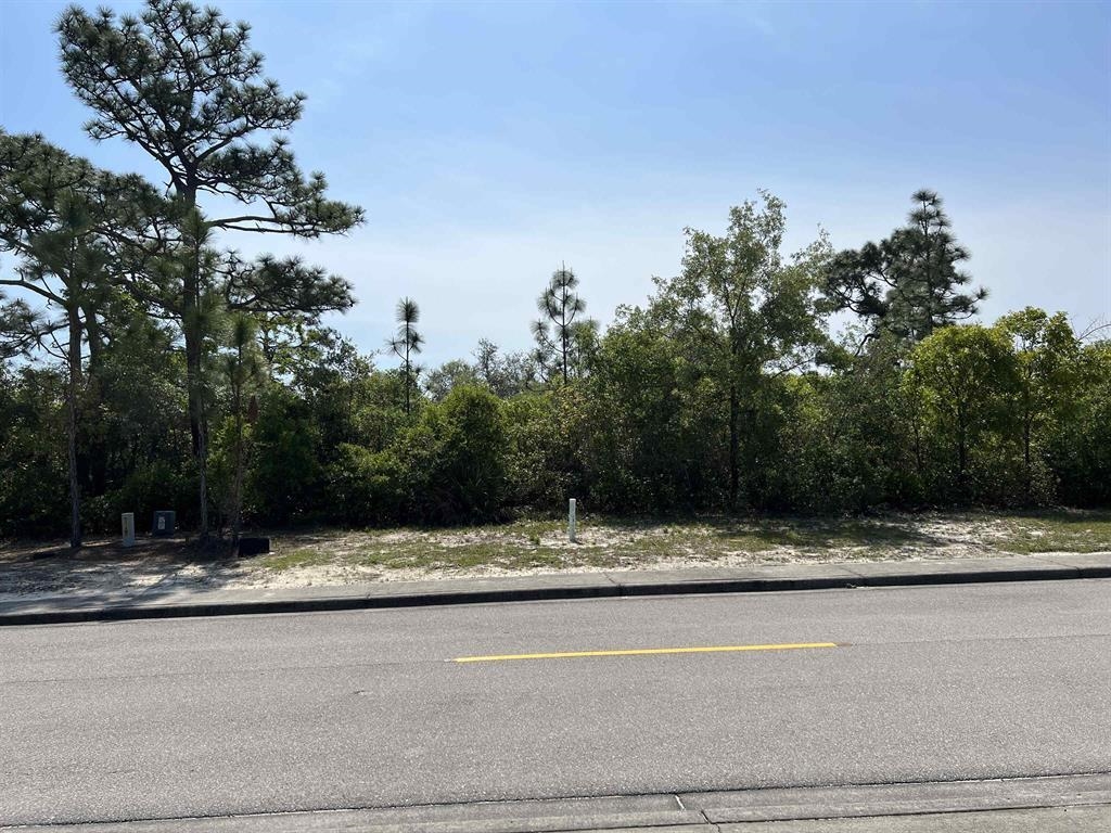 146 Anhinga Trail, Carrabelle, Florida image 2