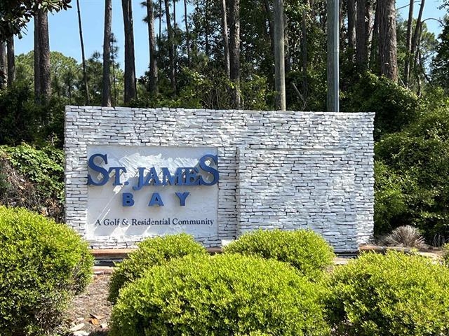 146 Anhinga Trail, Carrabelle, Florida image 3