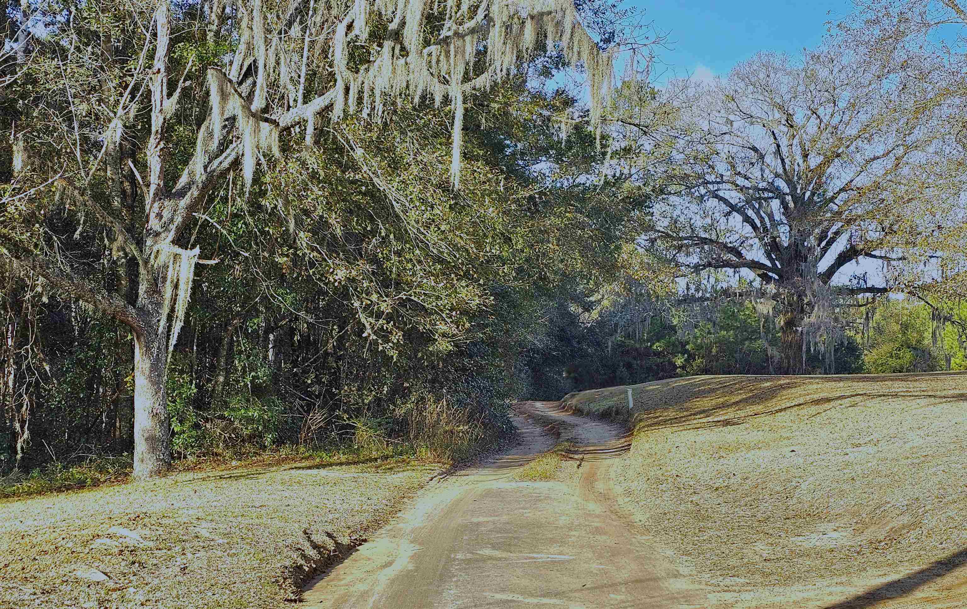 James Duhard Way, Tallahassee, Florida image 1