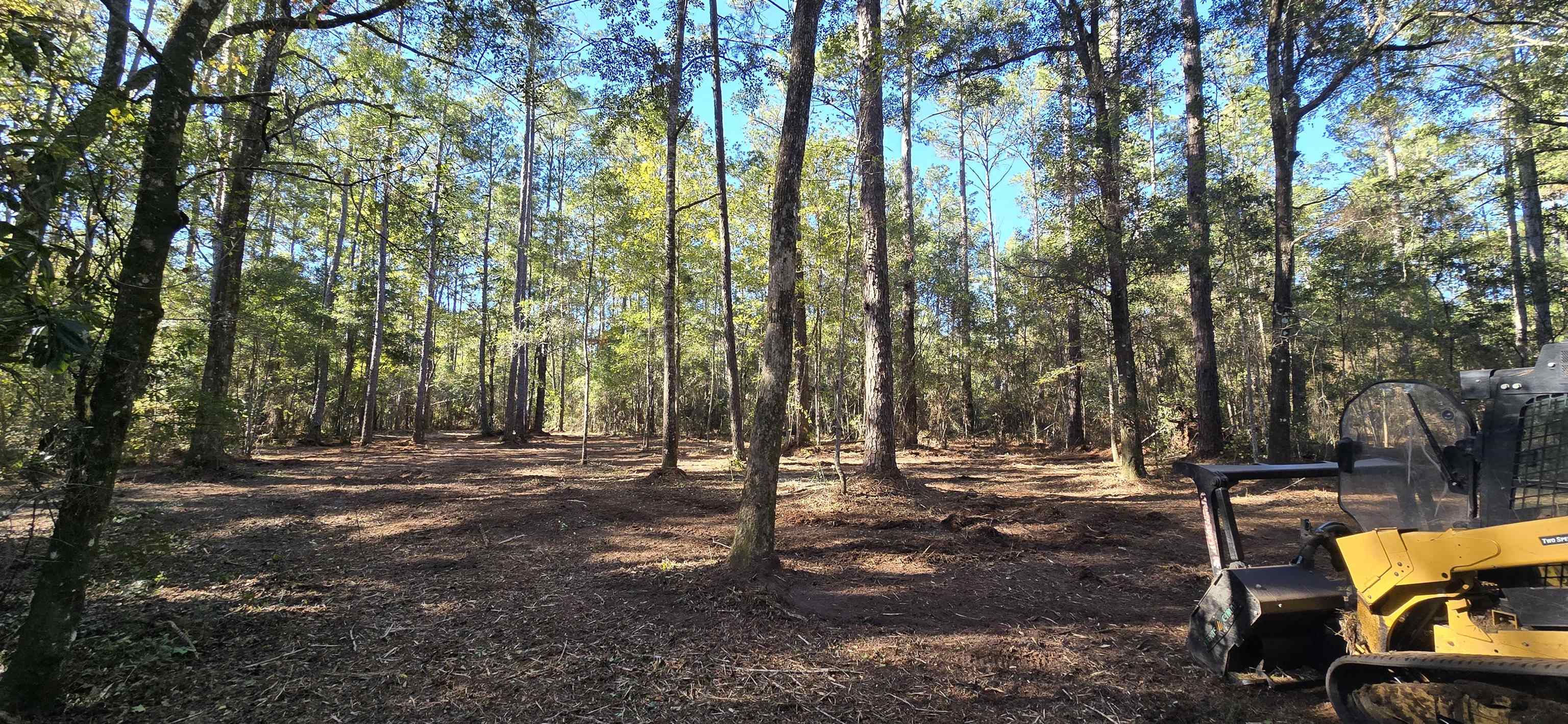 Xx Cherokee Drive, Sopchoppy, Florida image 16