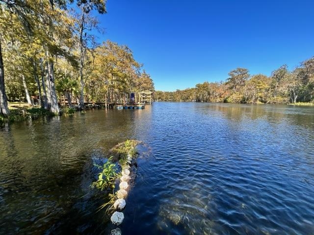 25 S. Egret Street, Crawfordville, Florida image 4