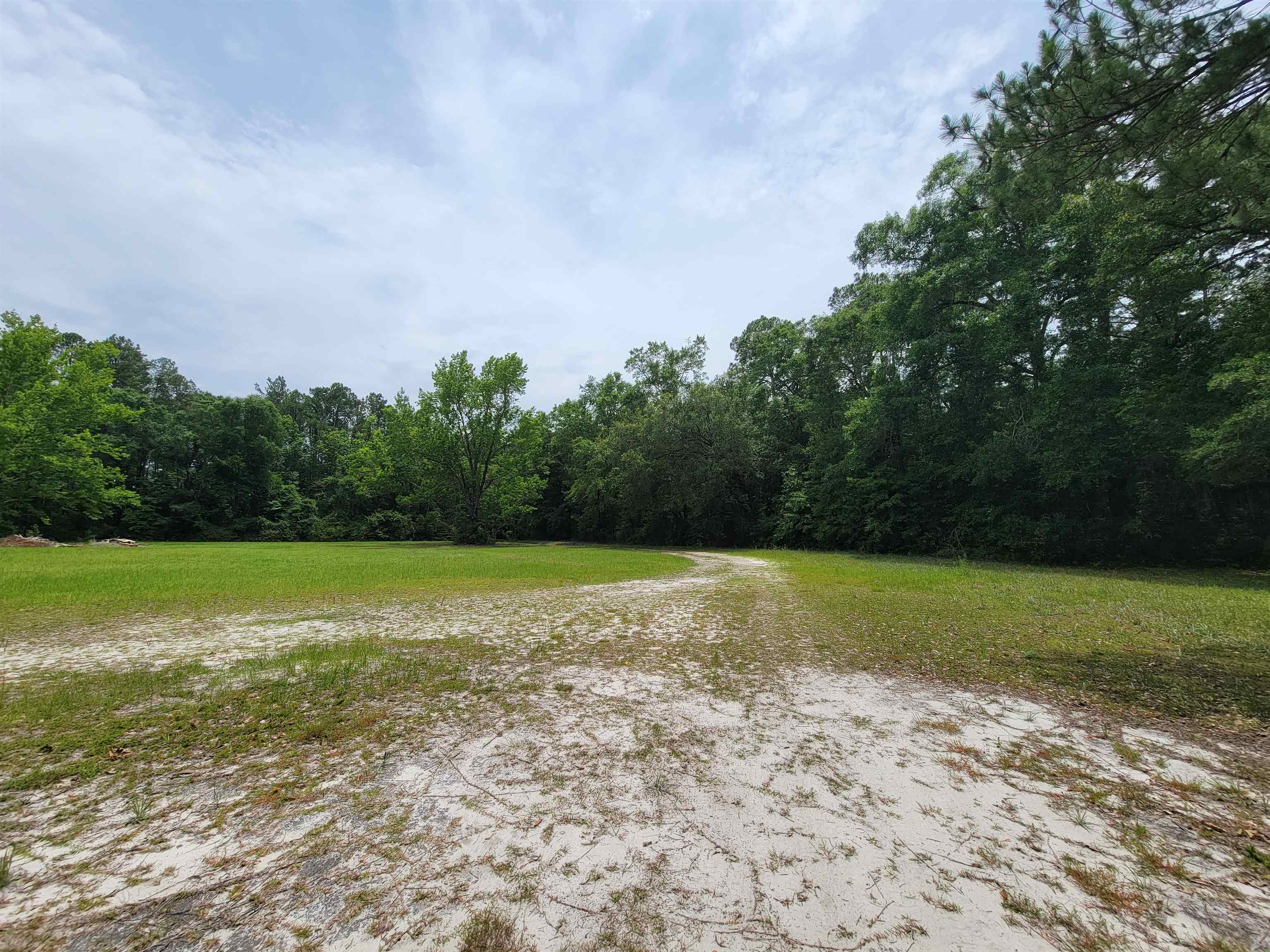 155 Porsche Lane, Crawfordville, Florida image 14