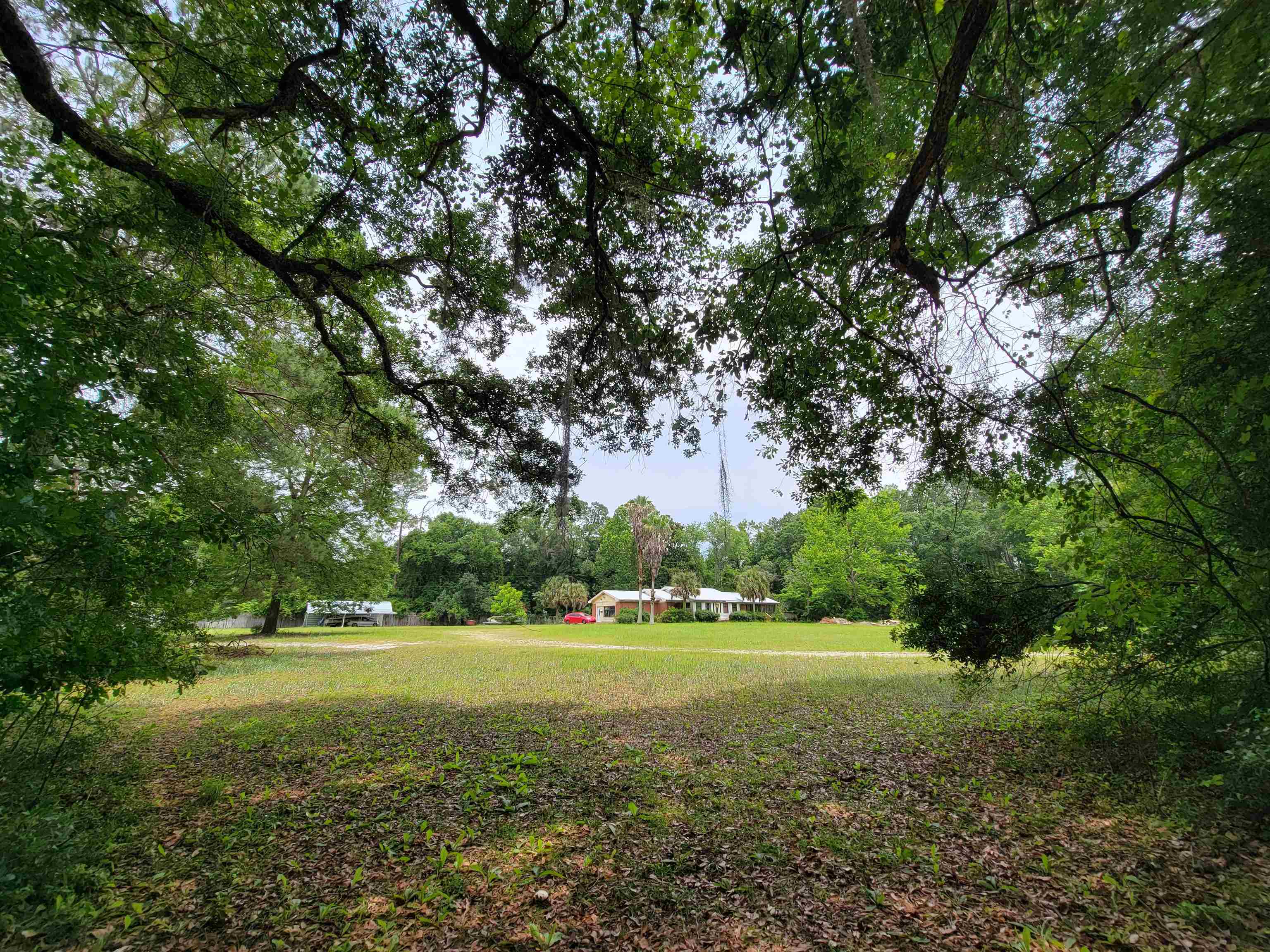 155 Porsche Lane, Crawfordville, Florida image 15