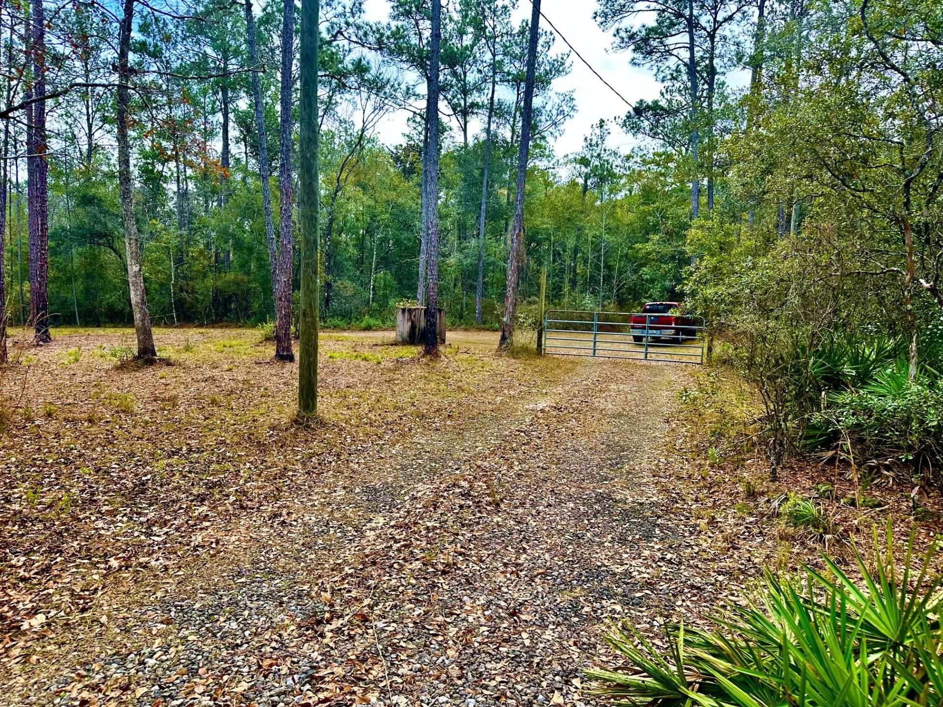 136 Pamela Place, Sopchoppy, Florida image 2