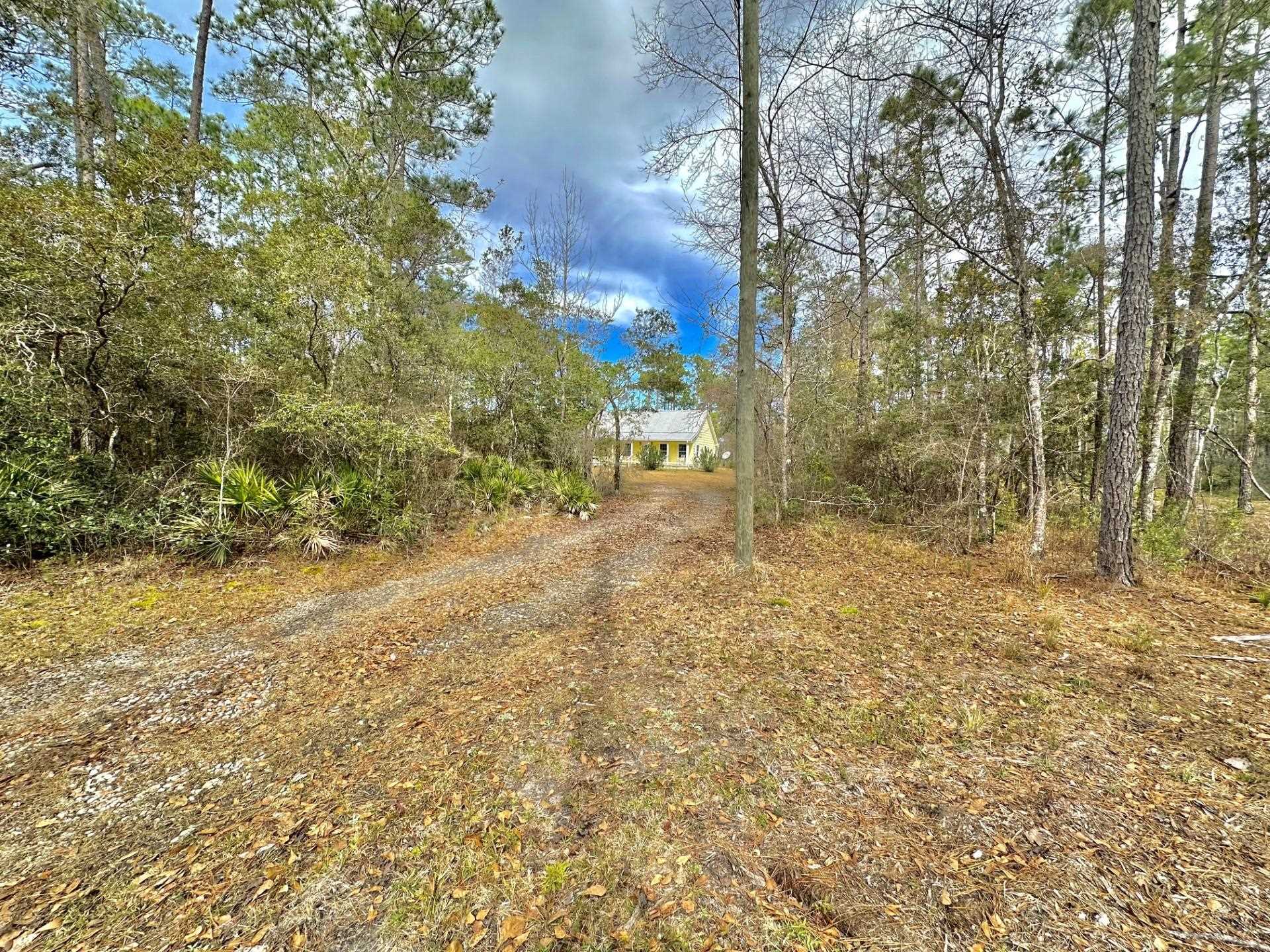 136 Pamela Place, Sopchoppy, Florida image 8