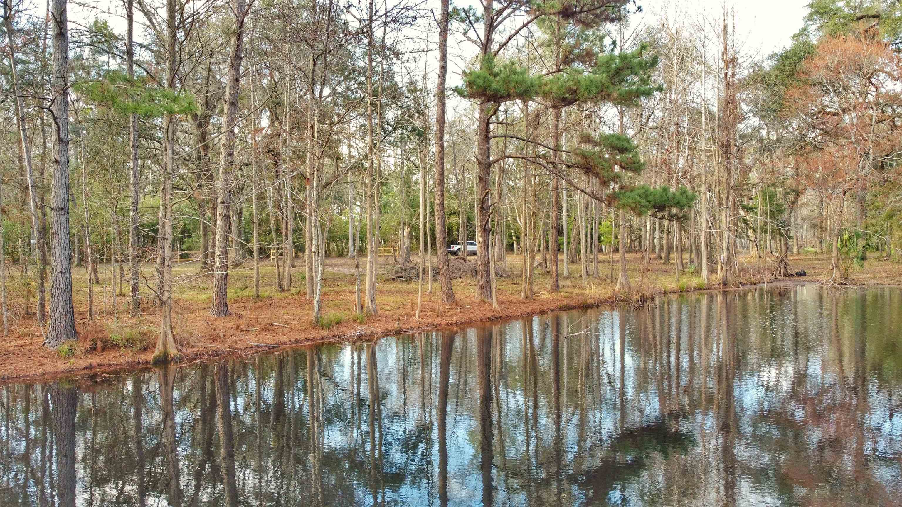 Moorhen Circle, Tallahassee, Florida image 1