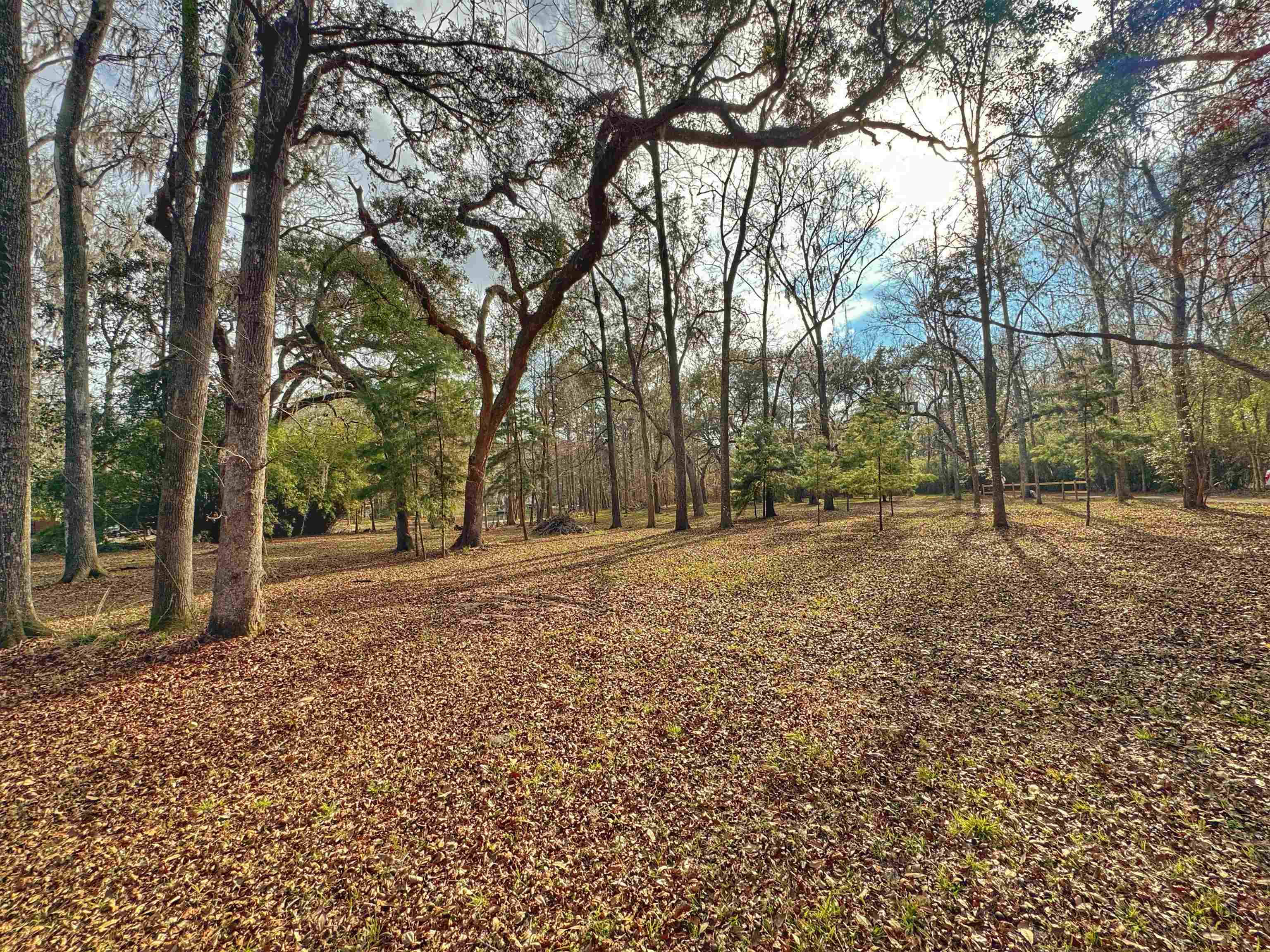 Moorhen Circle, Tallahassee, Florida image 11