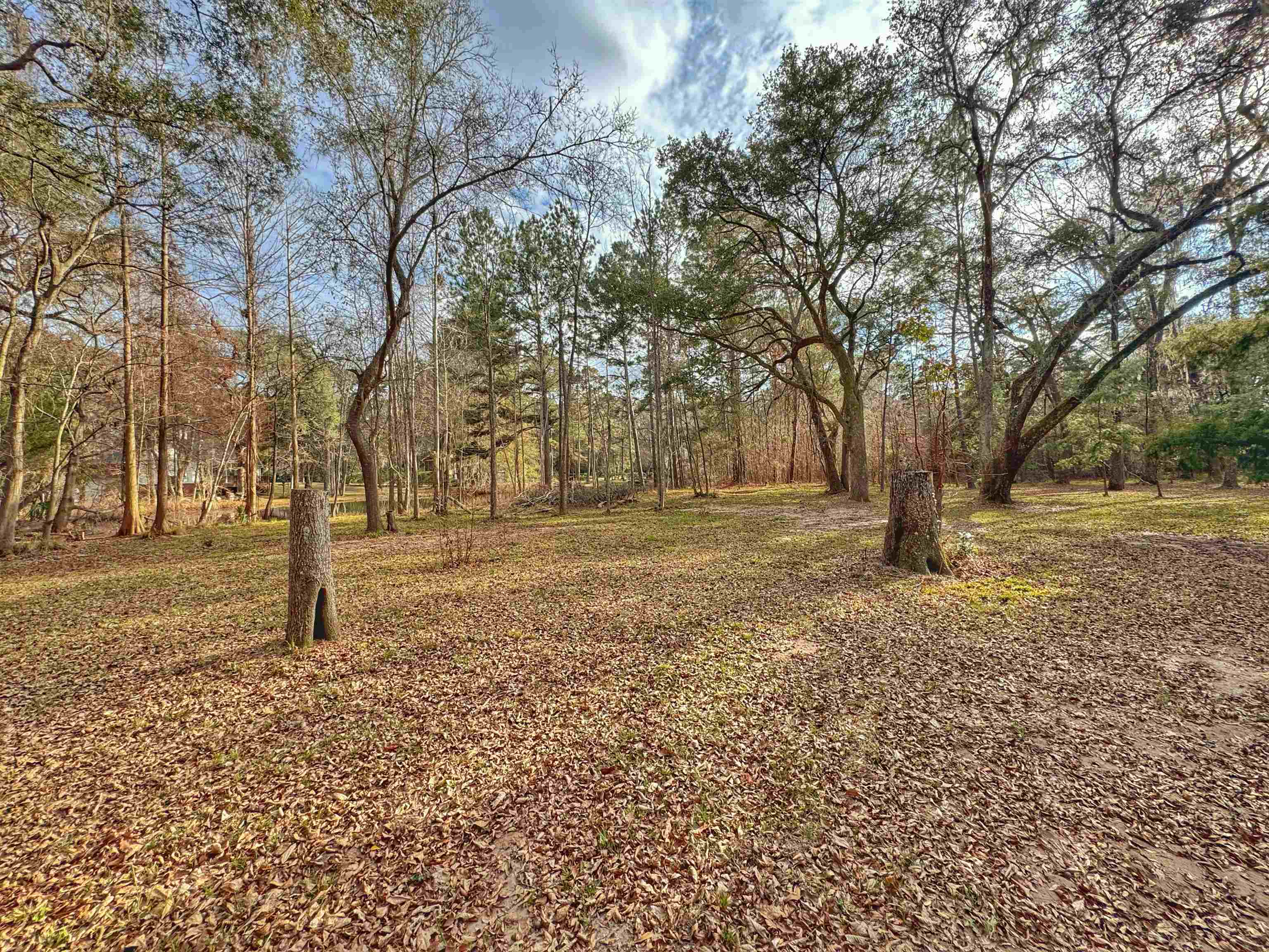 Moorhen Circle, Tallahassee, Florida image 13