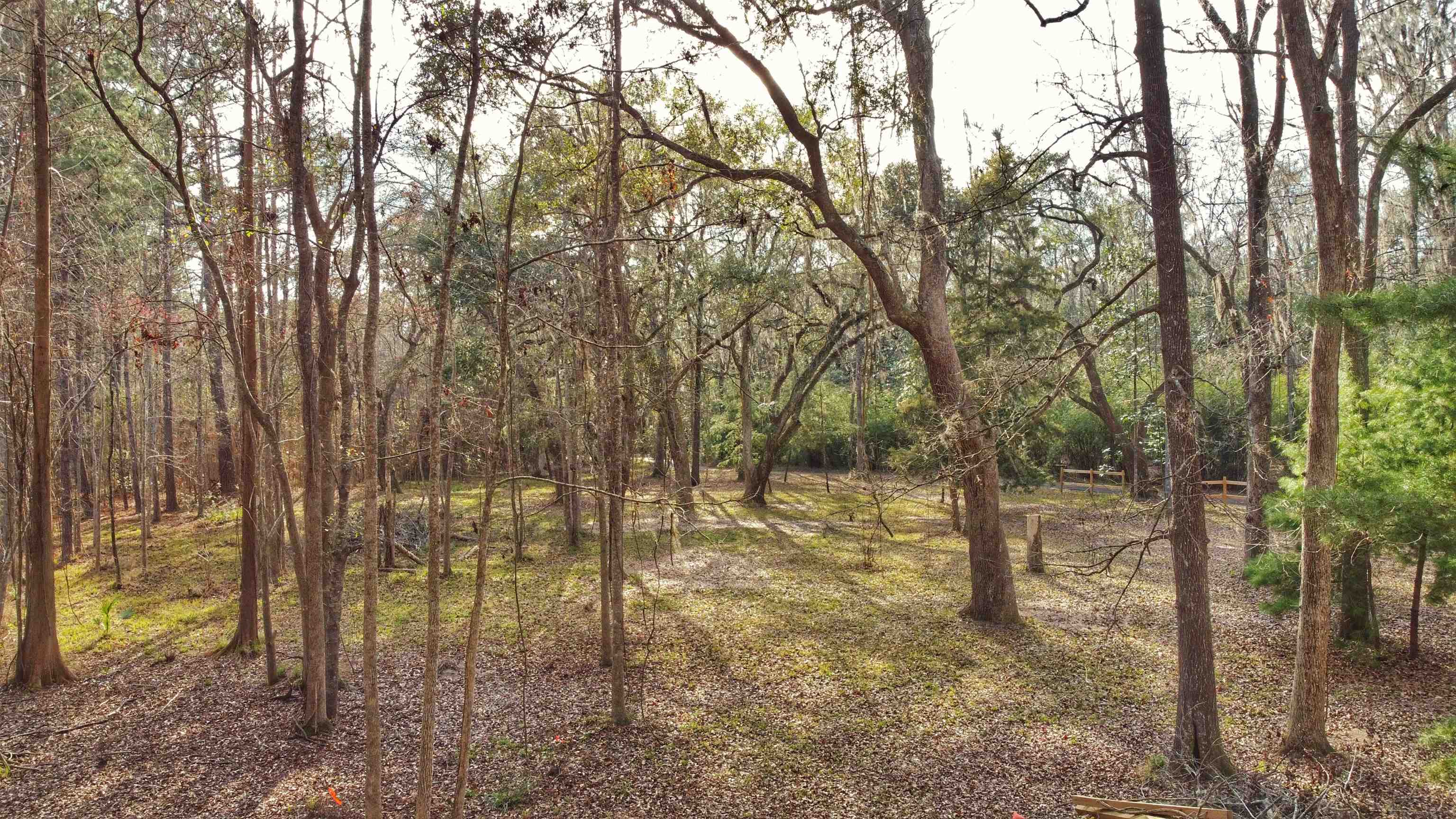 Moorhen Circle, Tallahassee, Texas image 14