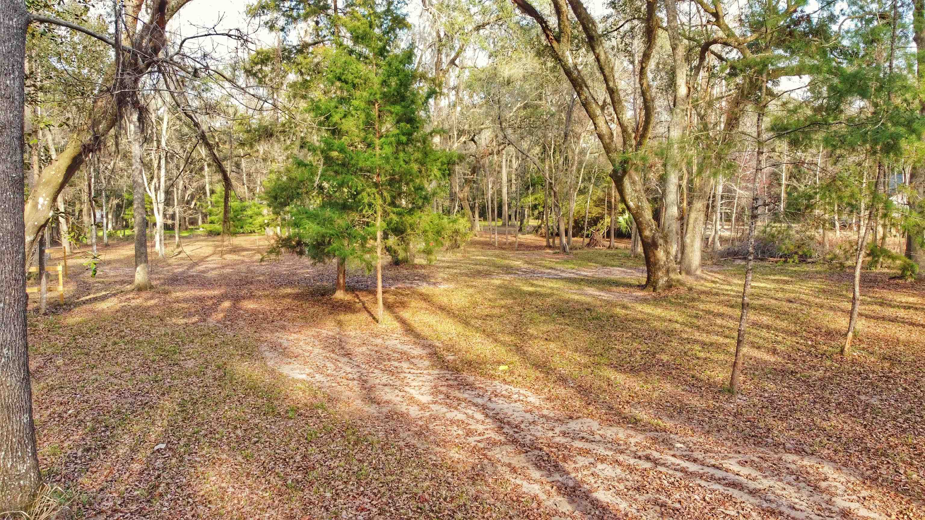 Moorhen Circle, Tallahassee, Texas image 17