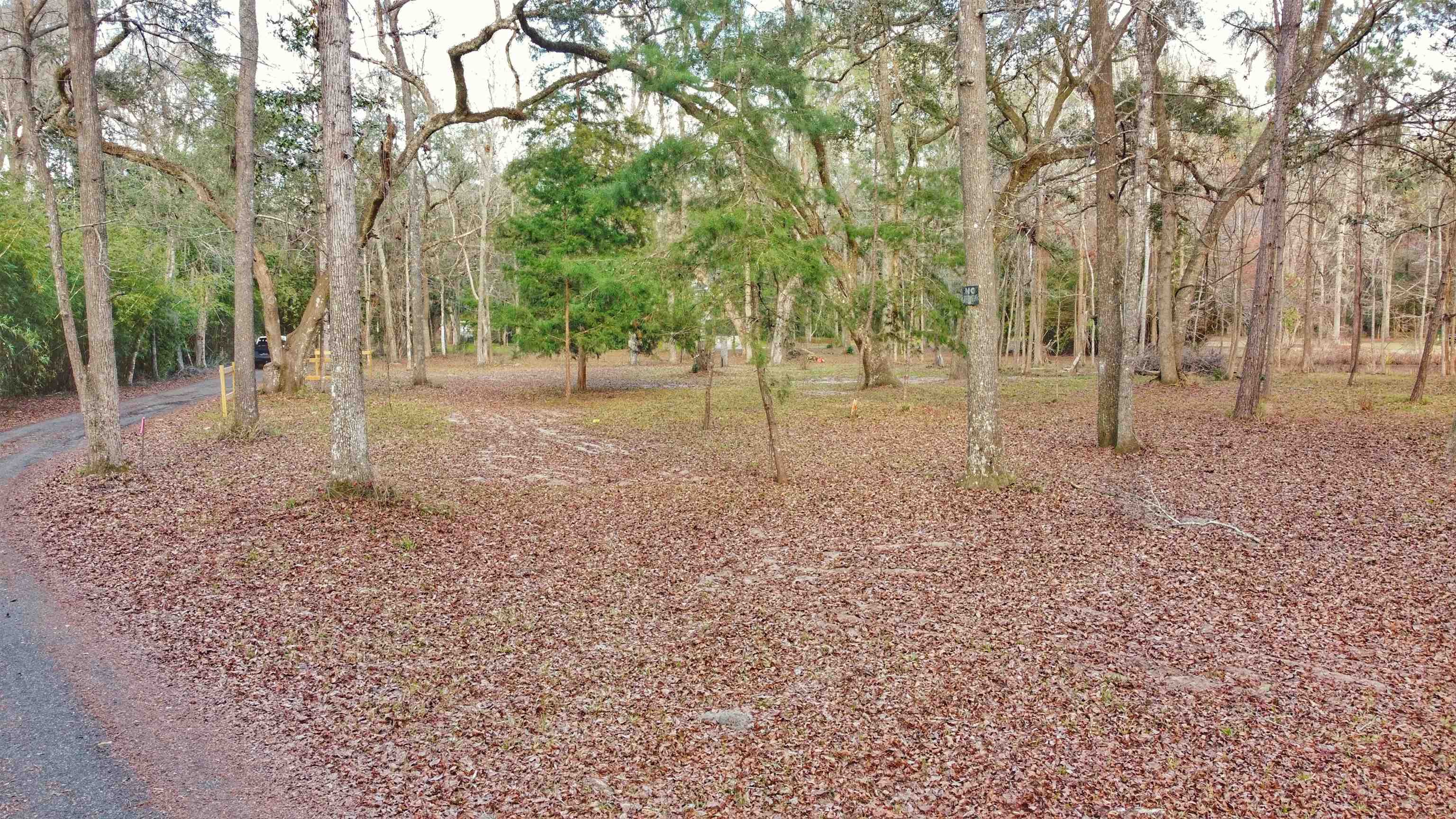 Moorhen Circle, Tallahassee, Florida image 19