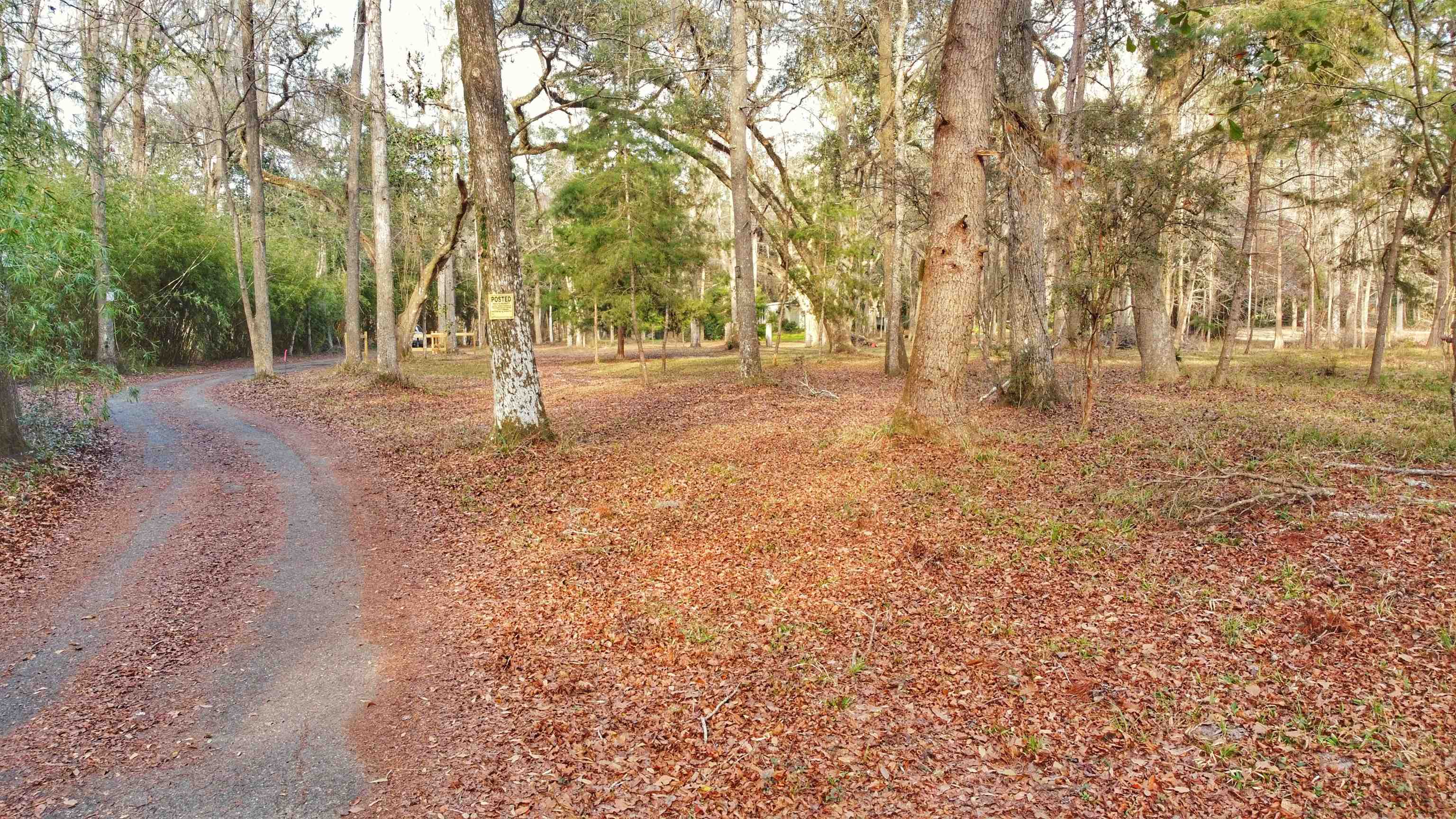 Moorhen Circle, Tallahassee, Florida image 20