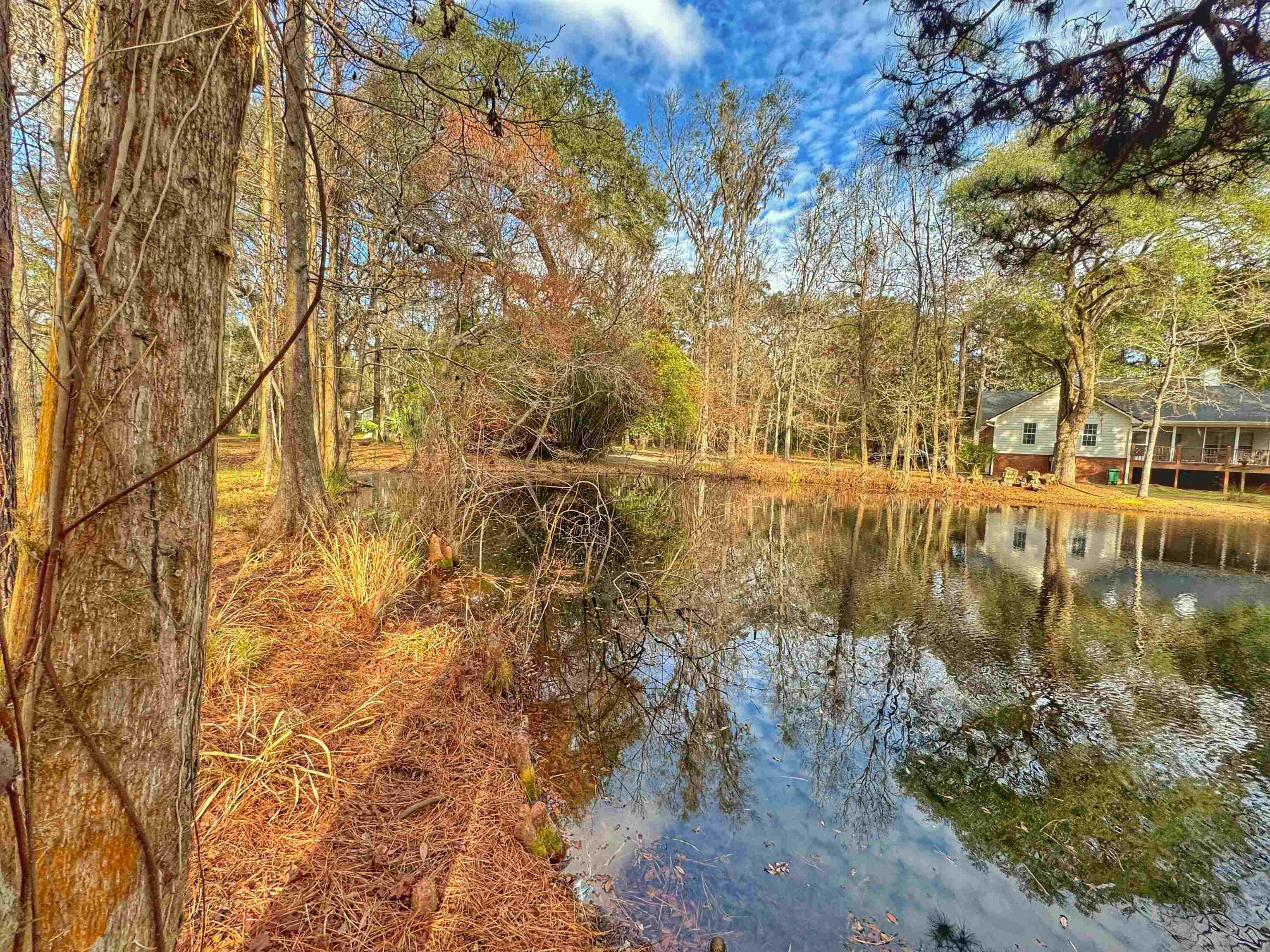 Moorhen Circle, Tallahassee, Florida image 23