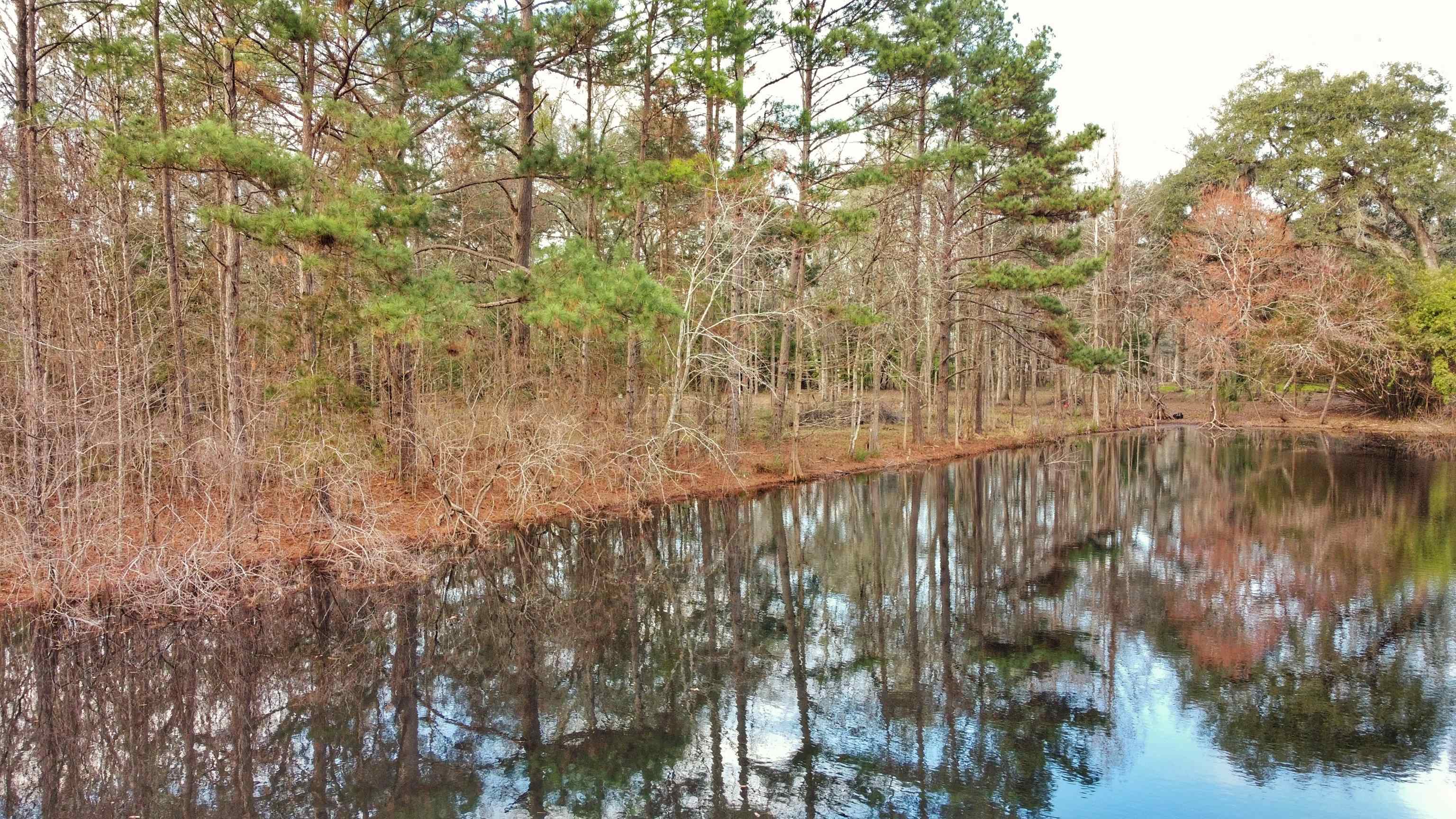 Moorhen Circle, Tallahassee, Florida image 27