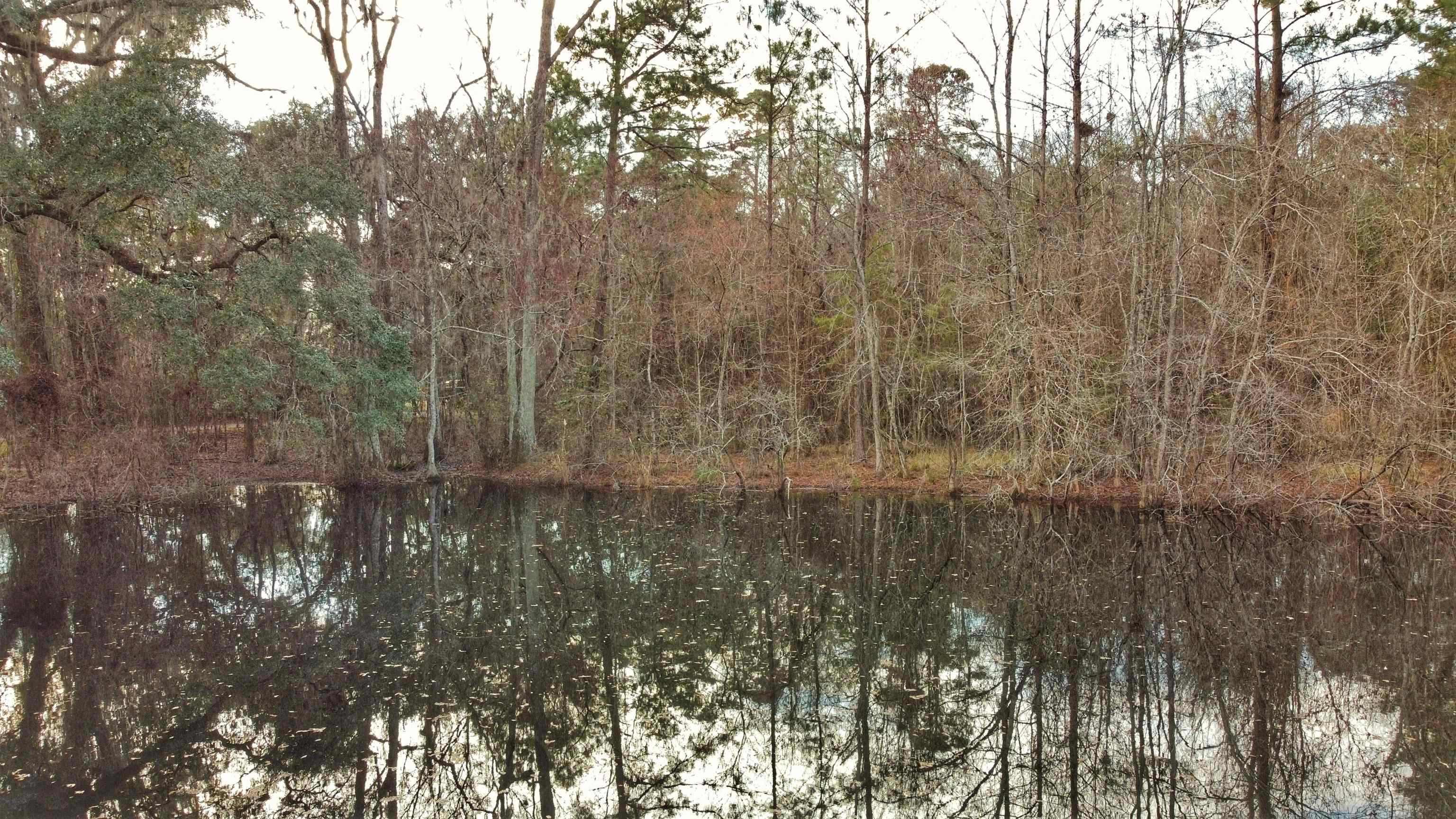 Moorhen Circle, Tallahassee, Florida image 28