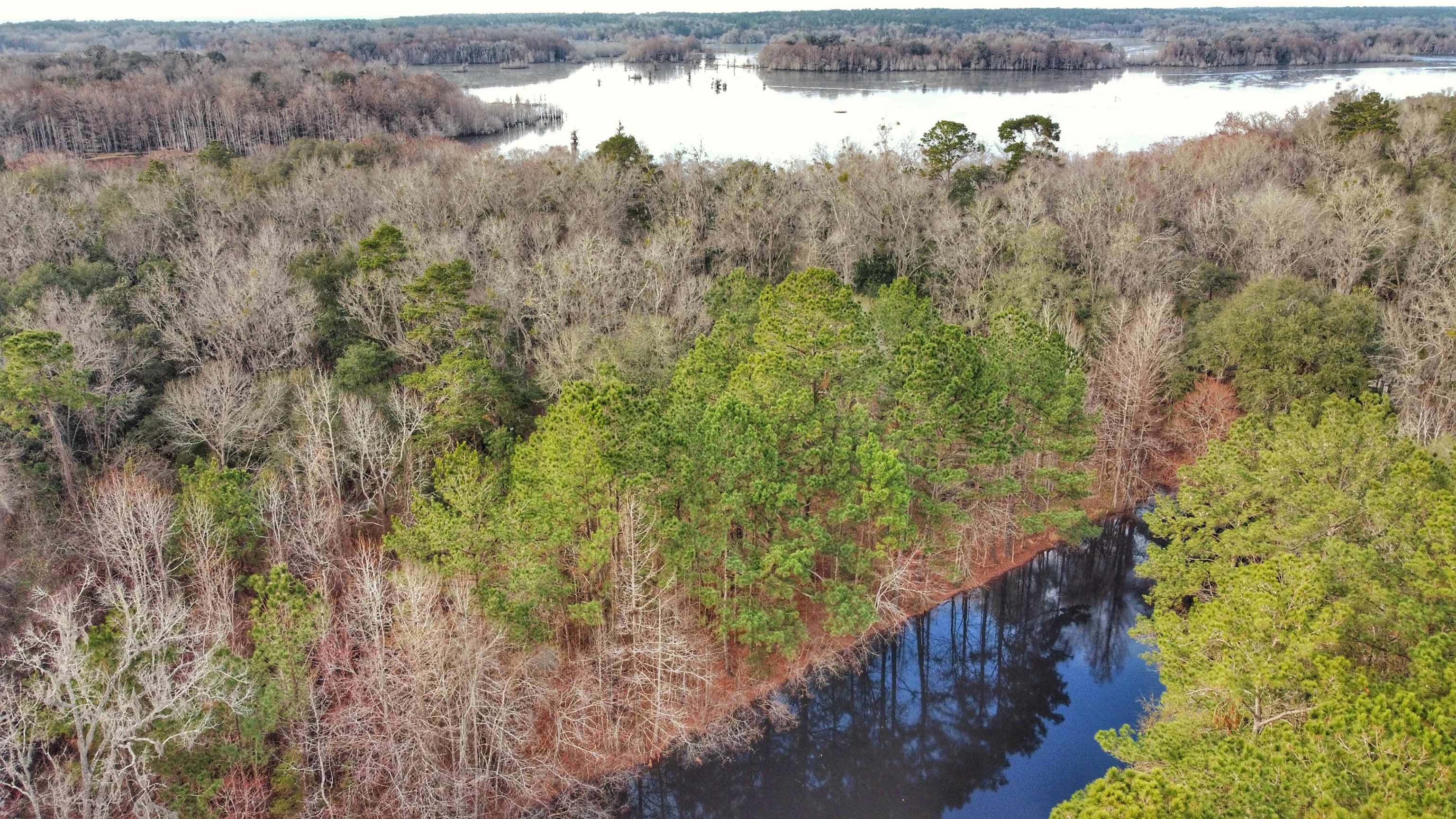 Moorhen Circle, Tallahassee, Florida image 32