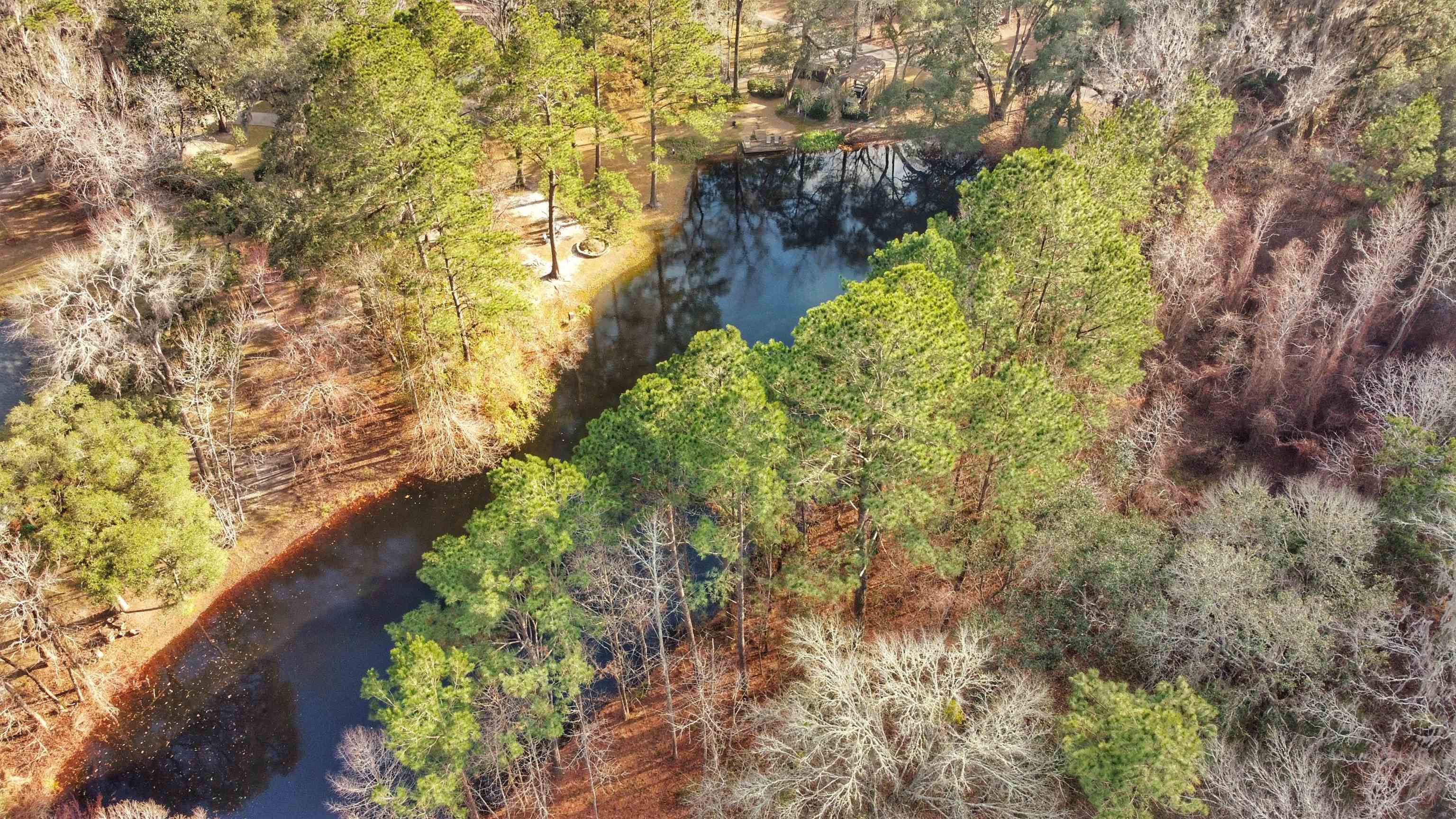 Moorhen Circle, Tallahassee, Florida image 33