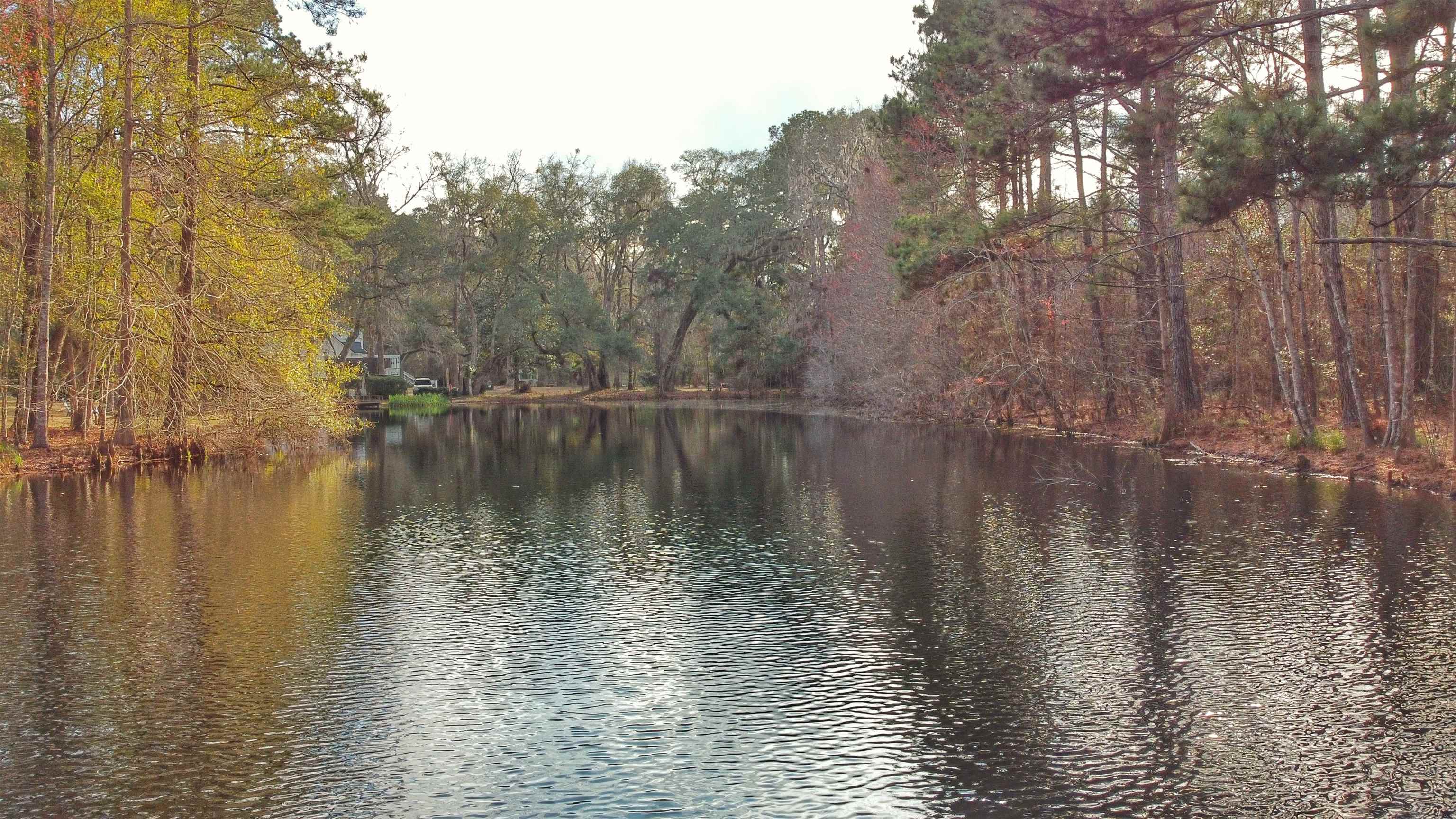 Moorhen Circle, Tallahassee, Florida image 4