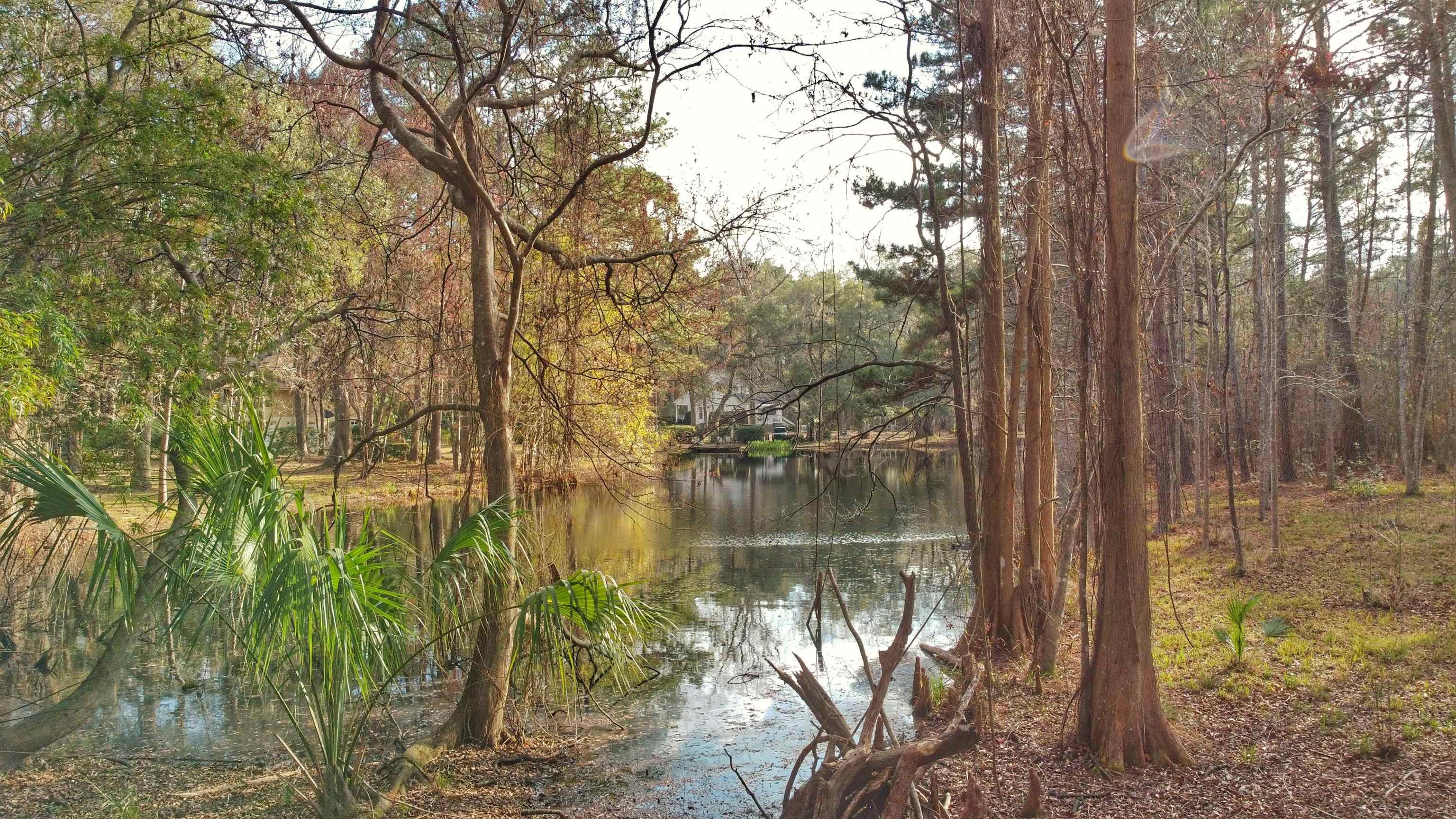 Moorhen Circle, Tallahassee, Florida image 6
