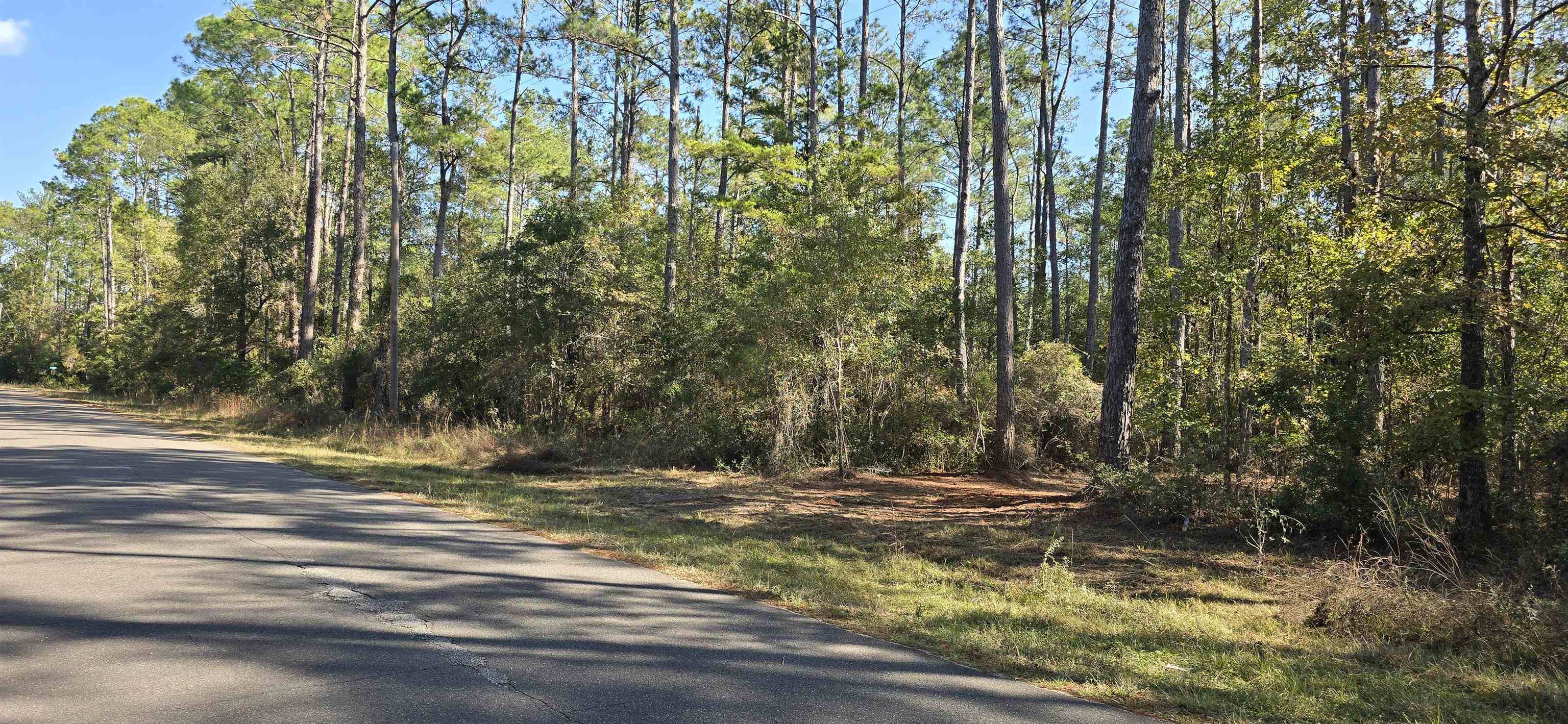 Xxx Cherokee Drive, Sopchoppy, Florida image 11