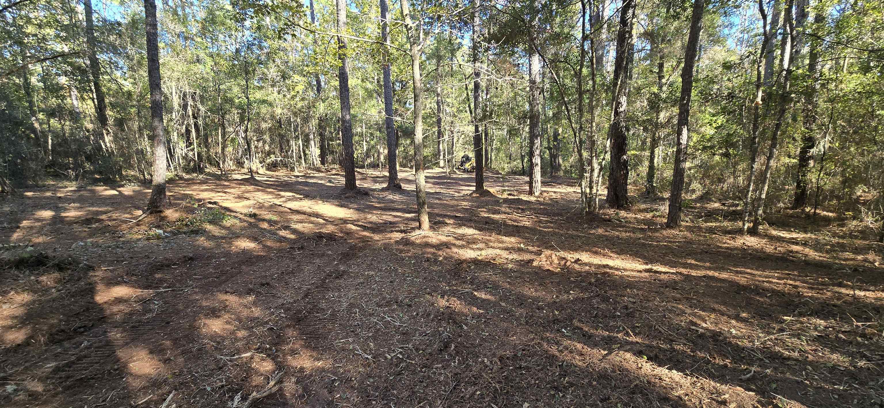 Xxx Cherokee Drive, Sopchoppy, Florida image 12