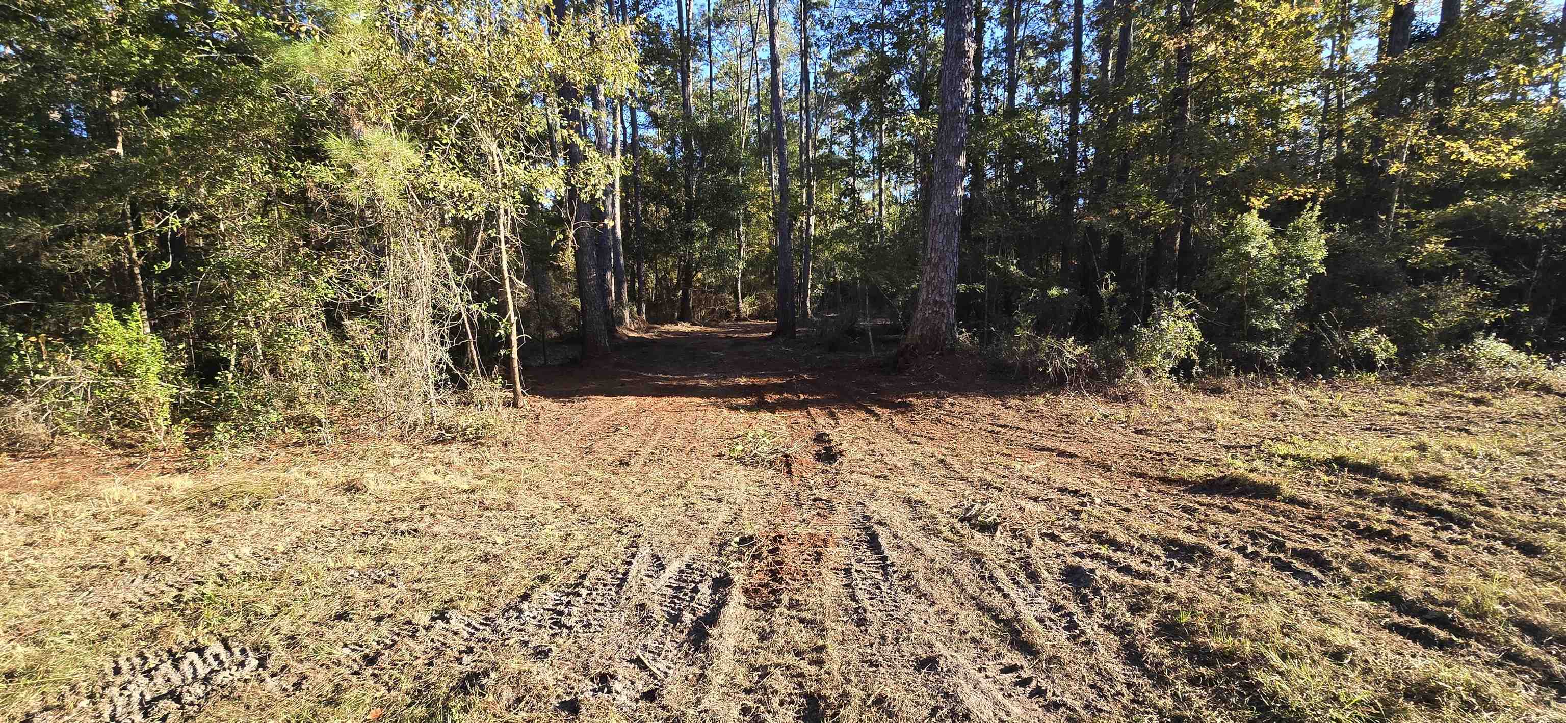 Xxx Cherokee Drive, Sopchoppy, Florida image 13