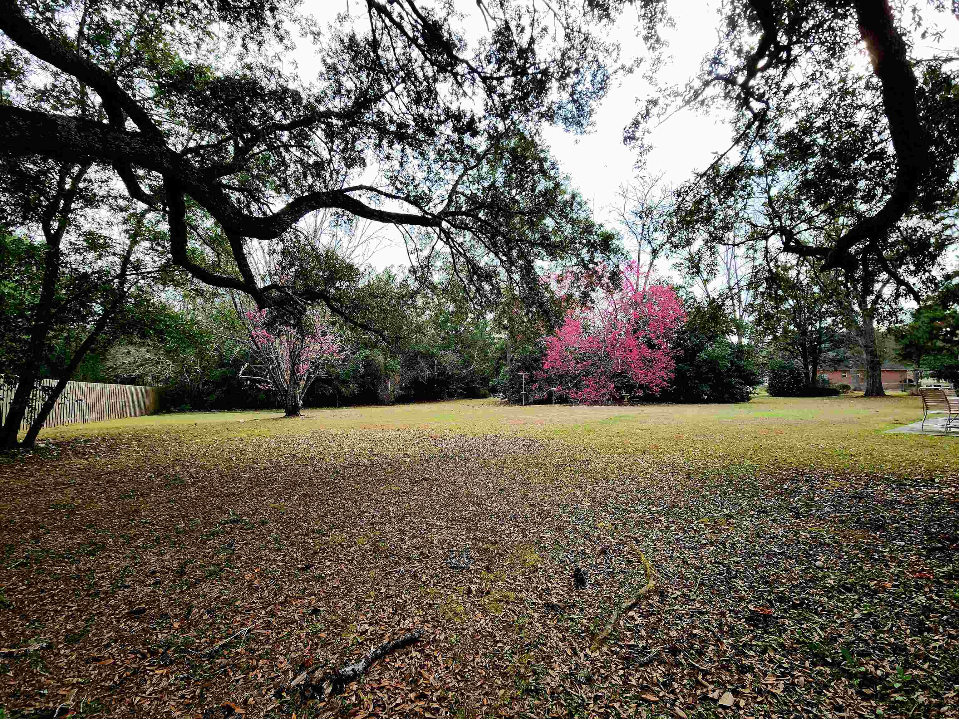 5107 Touraine Drive, Tallahassee, Florida image 7