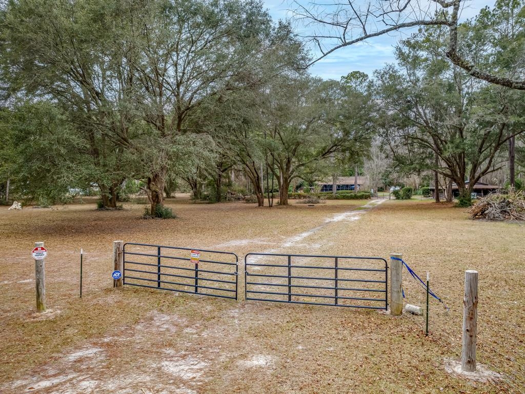 87 Mills Green Canyon Road, Crawfordville, Texas image 9