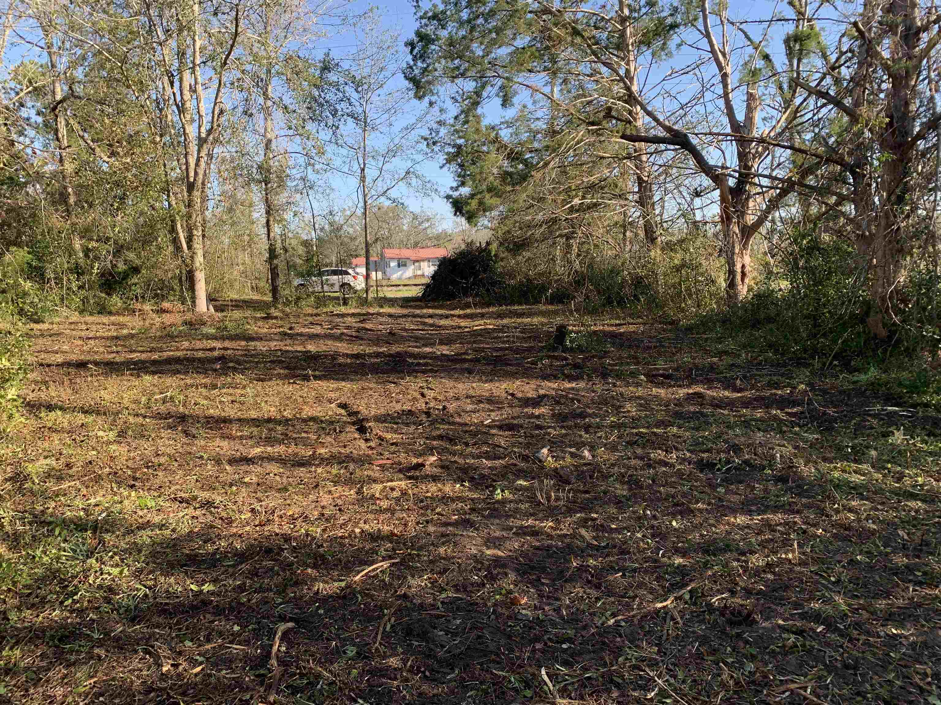 7042 SE Farm Road, Lee, Florida image 5