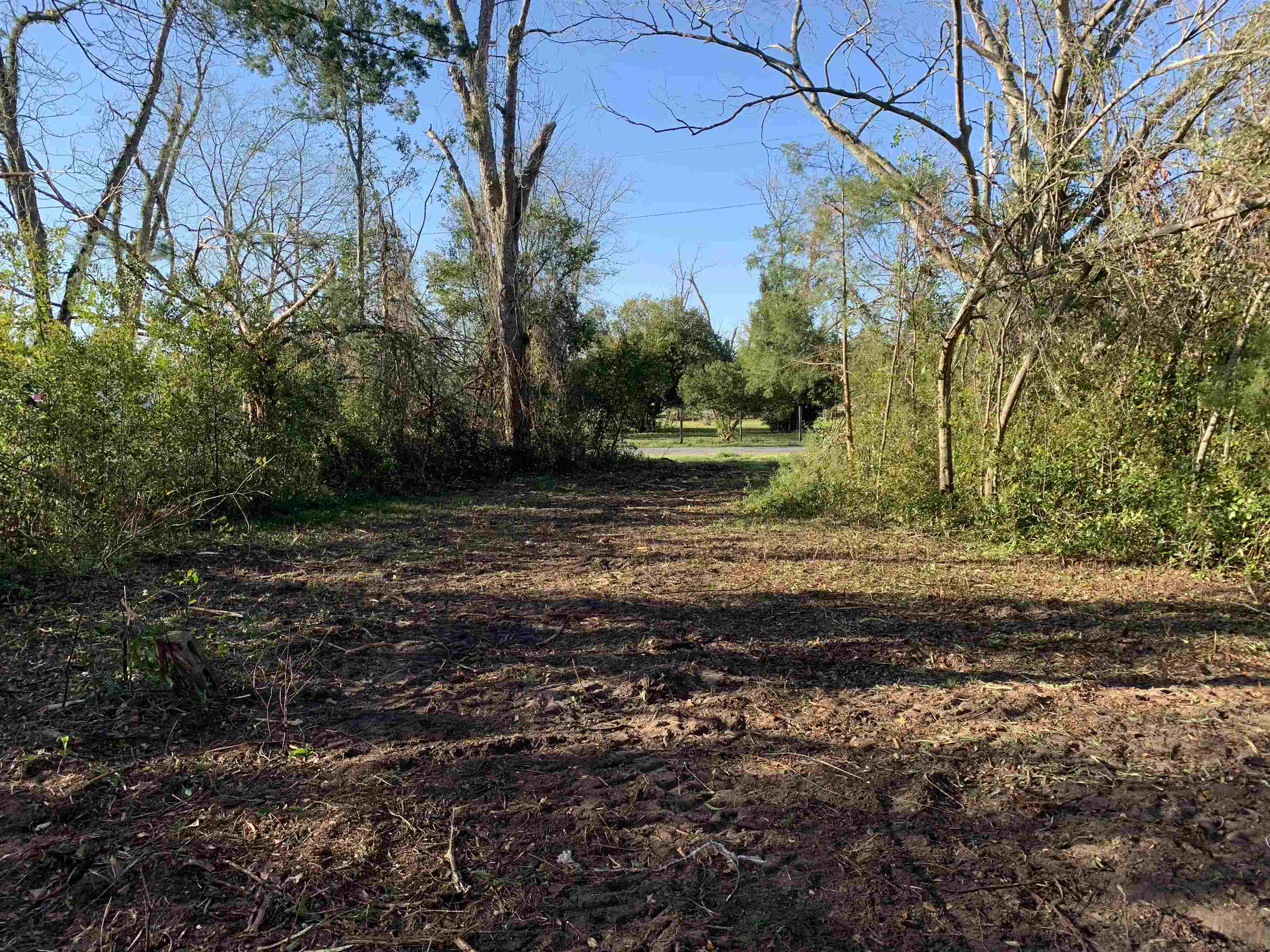 7042 SE Farm Road, Lee, Florida image 6