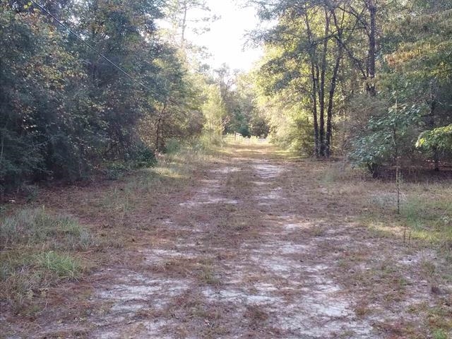 784 Shadeville Road, Crawfordville, Texas image 5