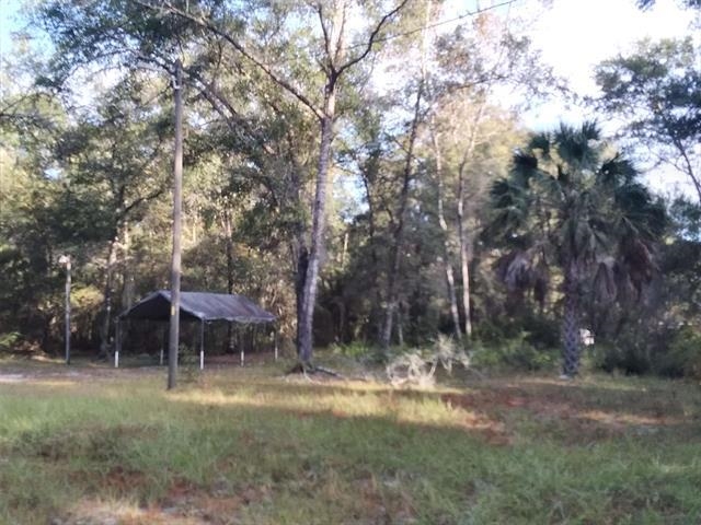 784 Shadeville Road, Crawfordville, Texas image 6