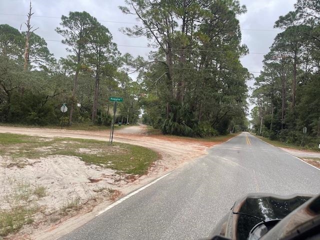 XXX Alapaha Avenue, Panacea, Florida image 1