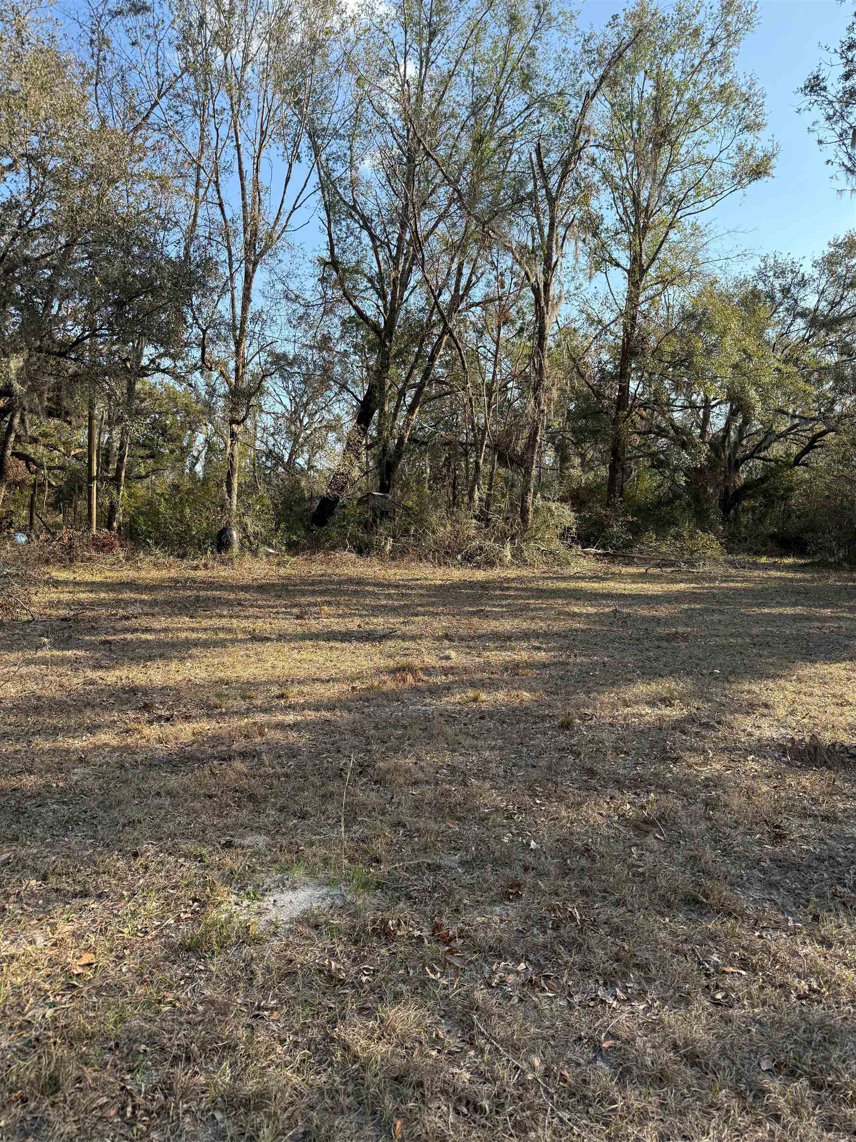 5010 Dandridge Road, Perry, Florida image 10