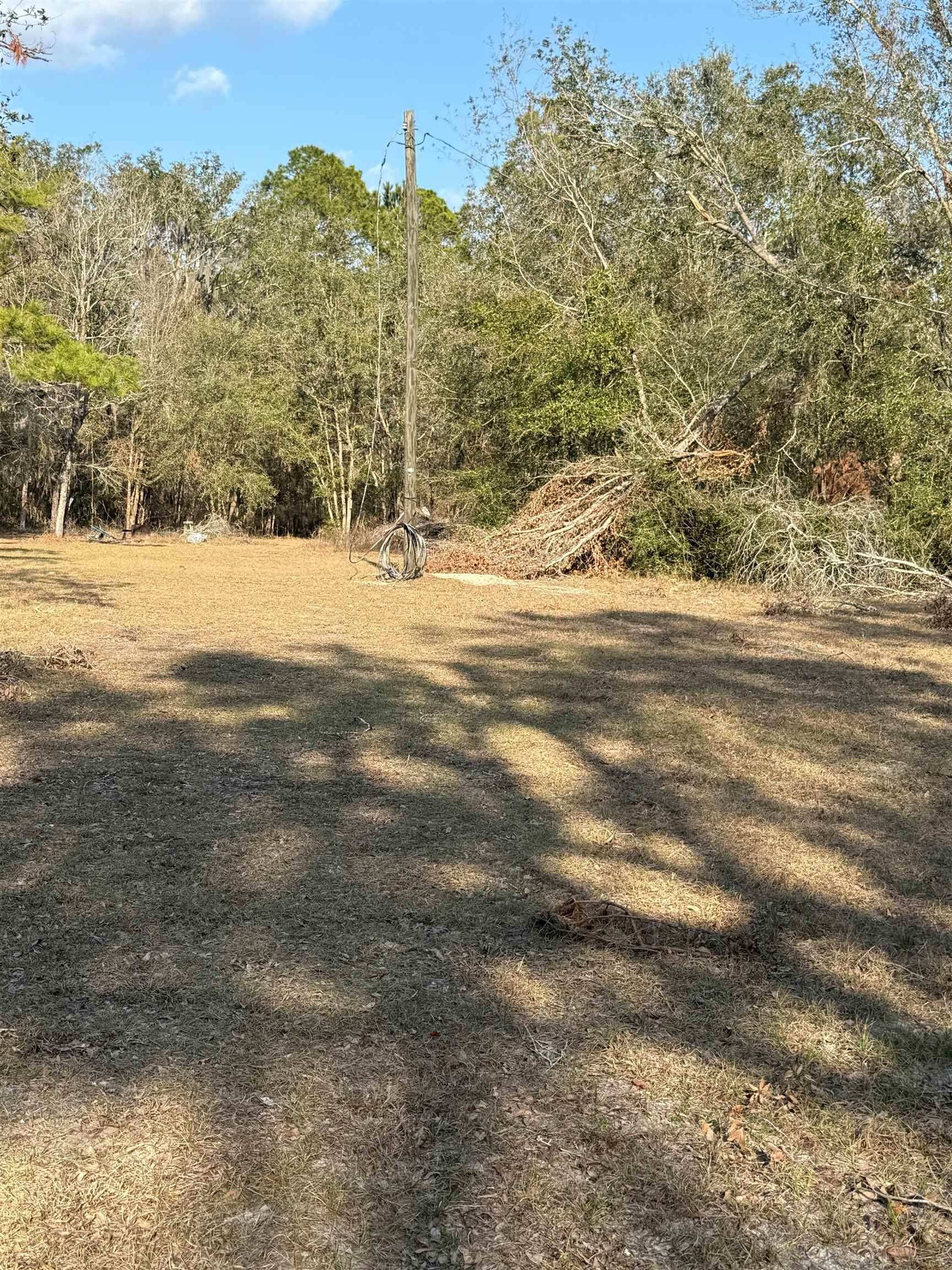 5010 Dandridge Road, Perry, Florida image 12