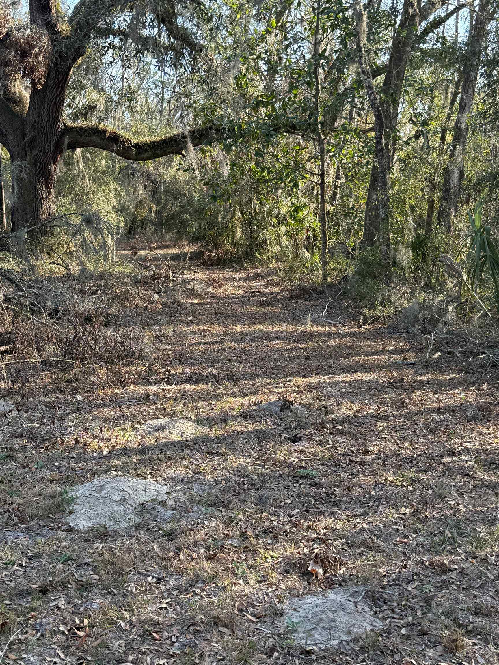 5010 Dandridge Road, Perry, Florida image 15