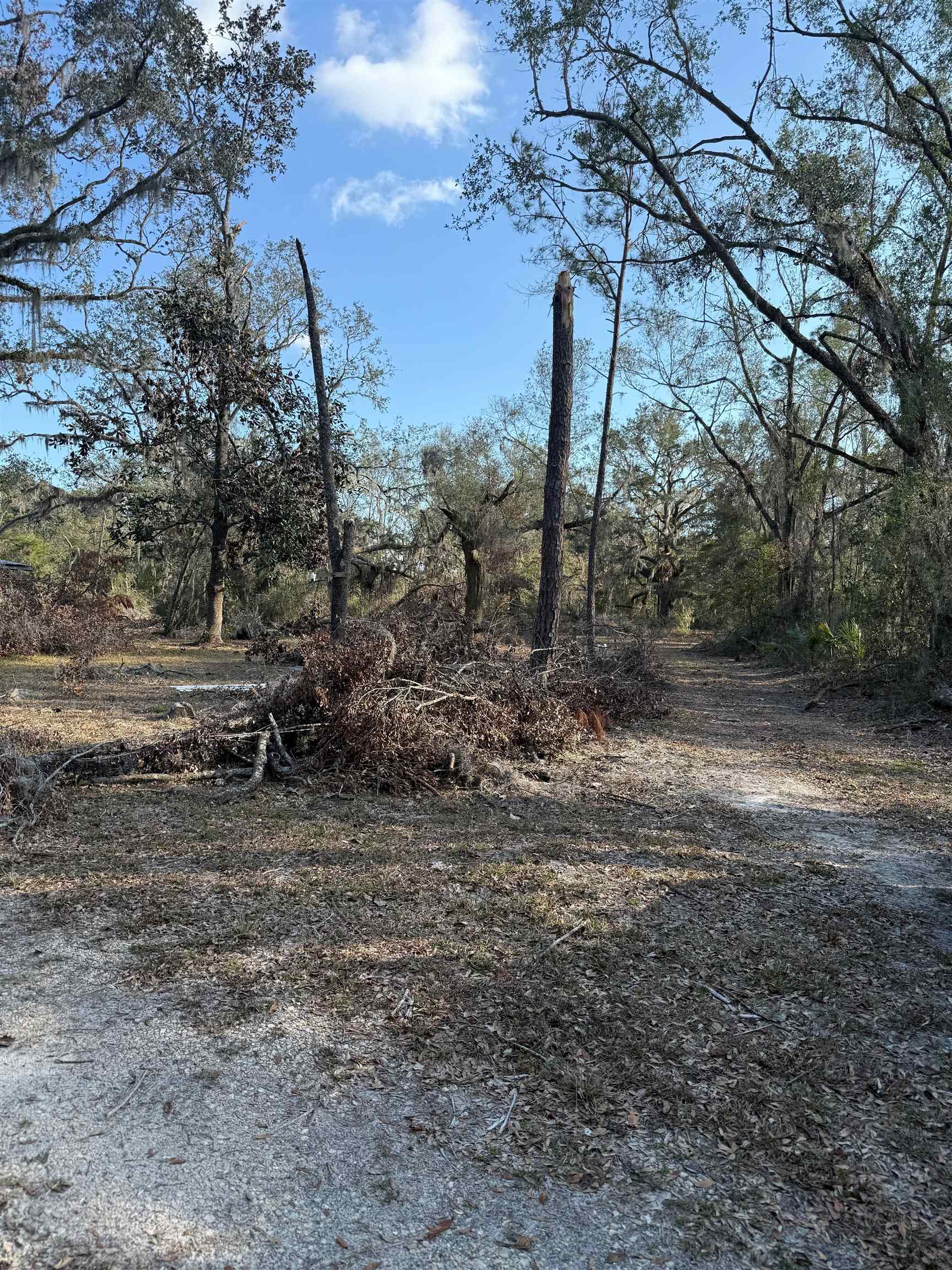 5010 Dandridge Road, Perry, Florida image 2