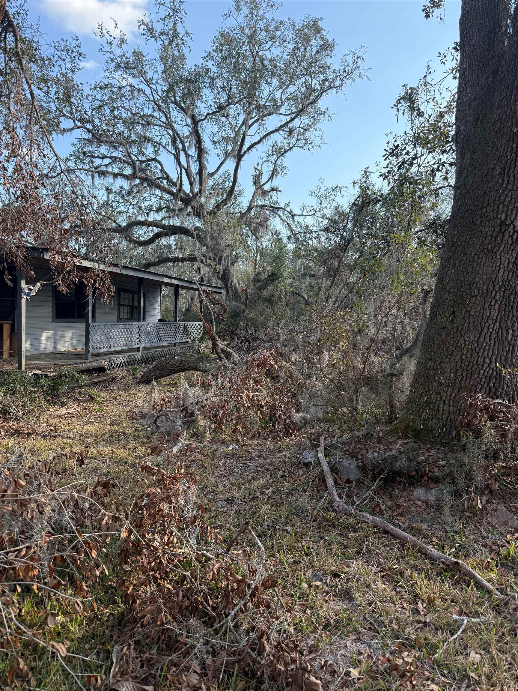 5010 Dandridge Road, Perry, Florida image 3