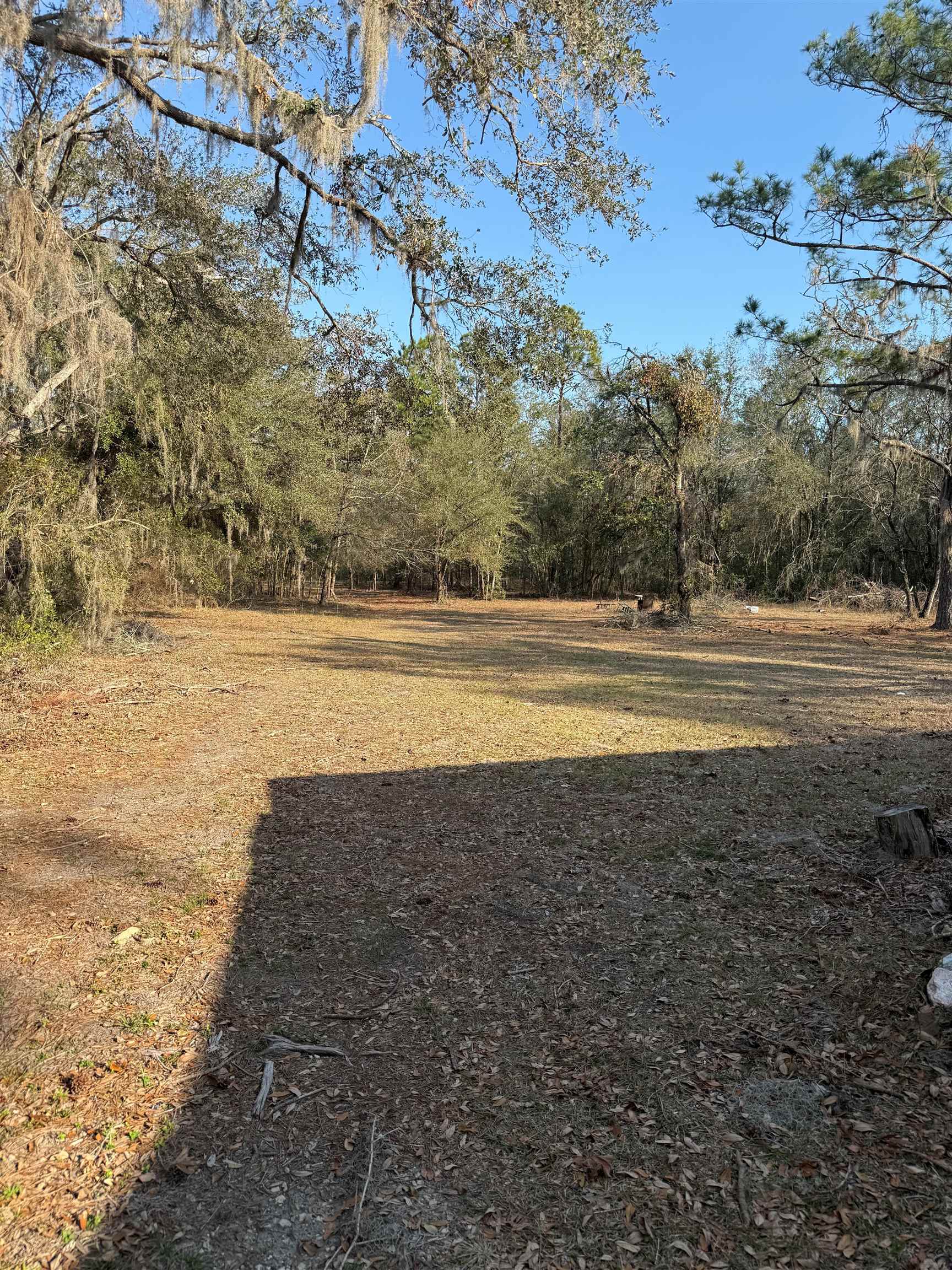 5010 Dandridge Road, Perry, Florida image 4