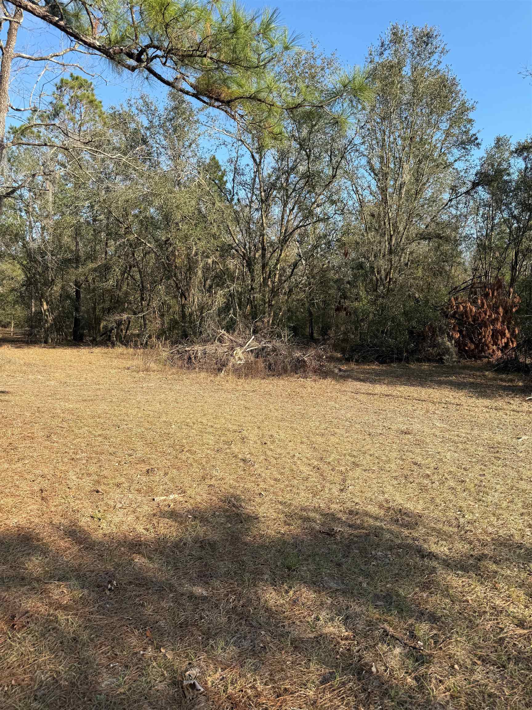 5010 Dandridge Road, Perry, Florida image 7