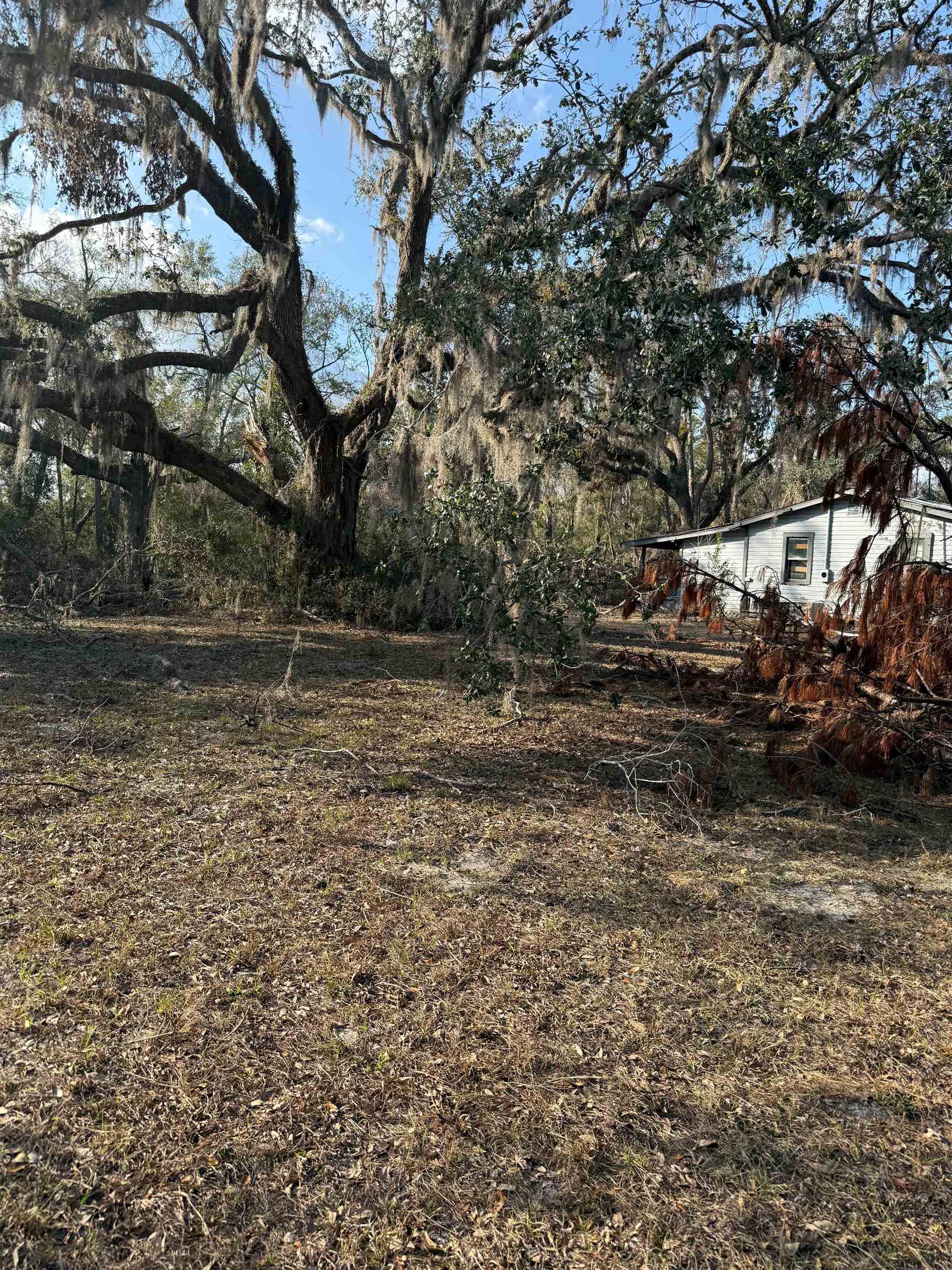 5010 Dandridge Road, Perry, Florida image 9