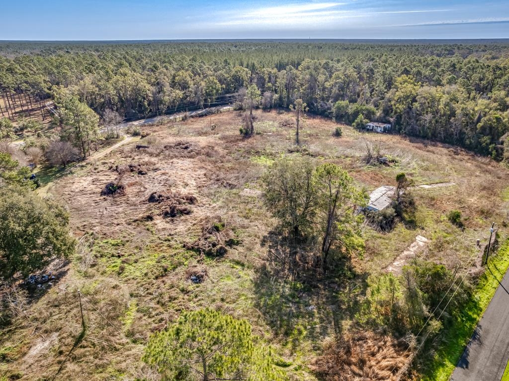 11368 Old Woodville Road #2, Woodville, Florida image 11