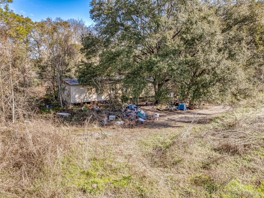 11368 Old Woodville Road #2, Woodville, Florida image 4