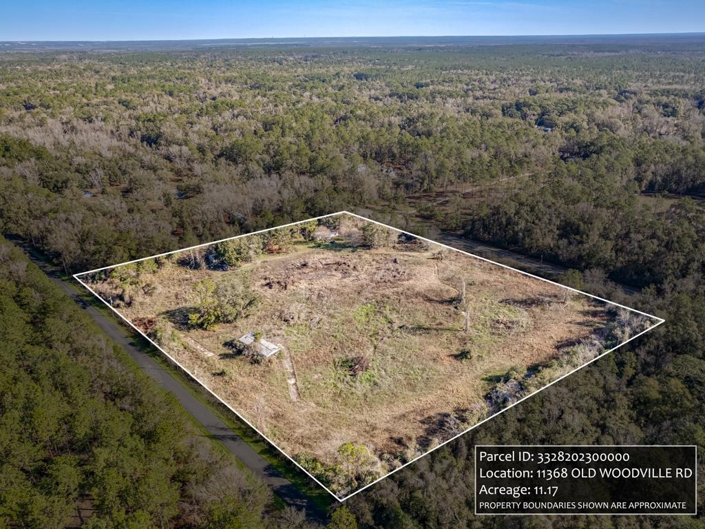 11368 Old Woodville Road #2, Woodville, Florida image 5