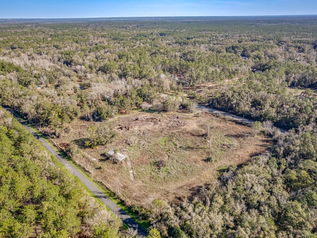 11368 Old Woodville Road #2, Woodville, Florida image 6